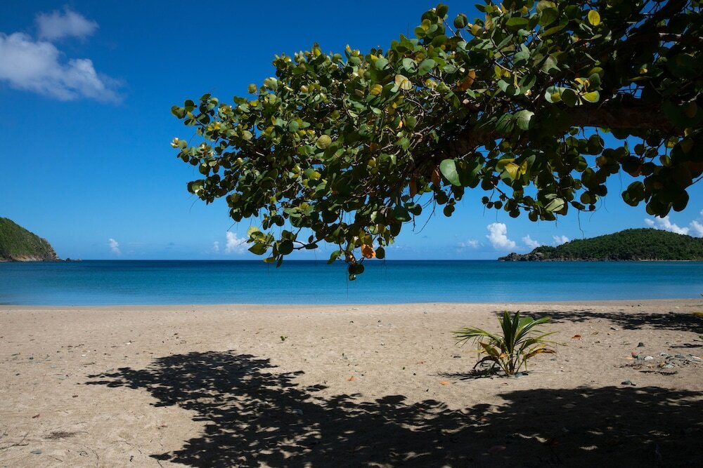 Фото Icis Villas