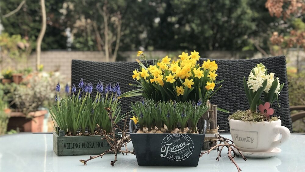 Фото Hotel Cascade