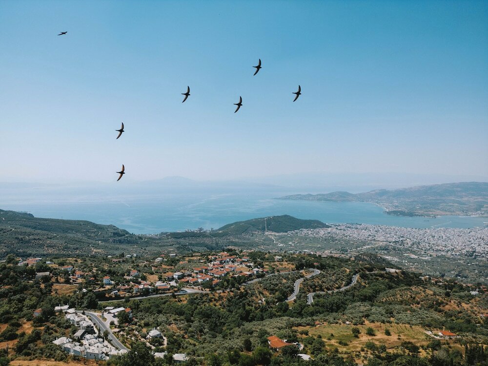 Фото Palladio Hotel