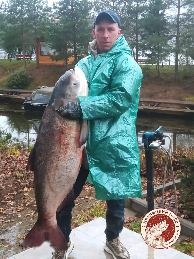 Фото Пятницкий плёс