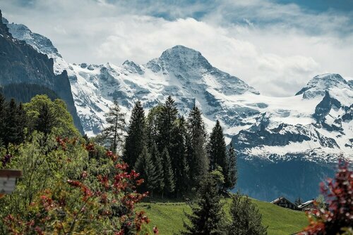 Гостиница Alpine Hotel Wengen в Лаутербруннене