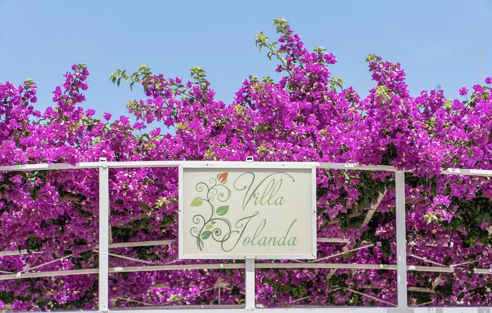 Фото Villa Iolanda