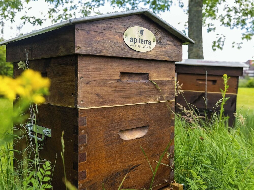 Фото Hotel Ibis Metz Woippy