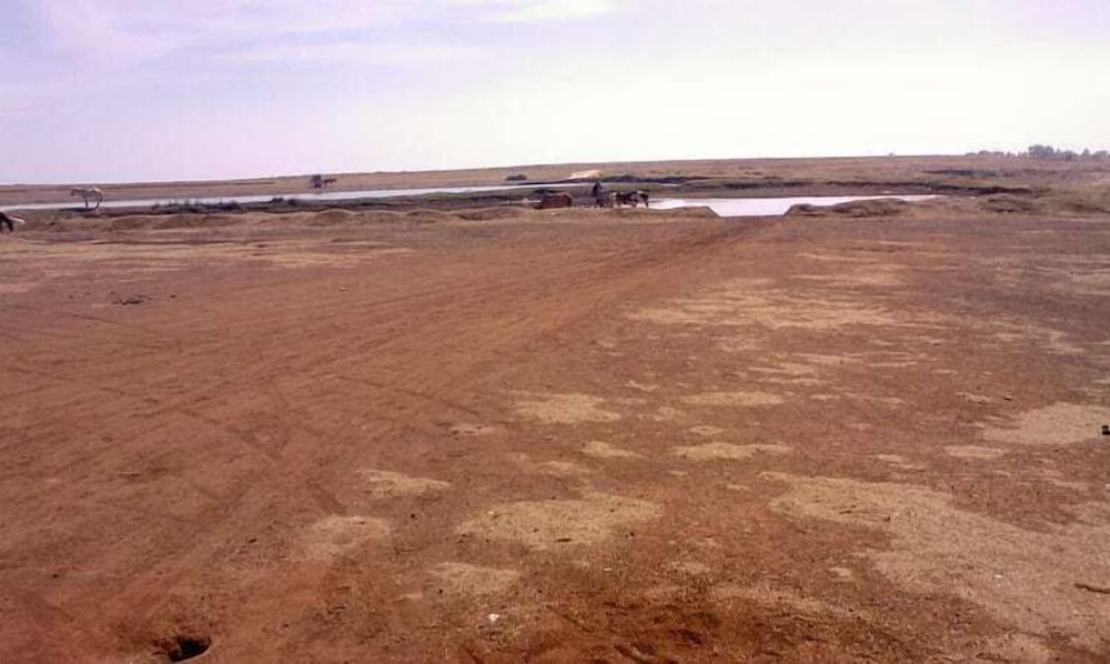 Фото Regenta Place Green Leaf Mahabaleshwar