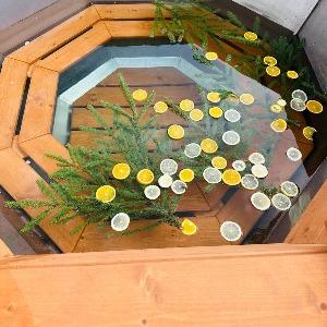 Фото Стрековец