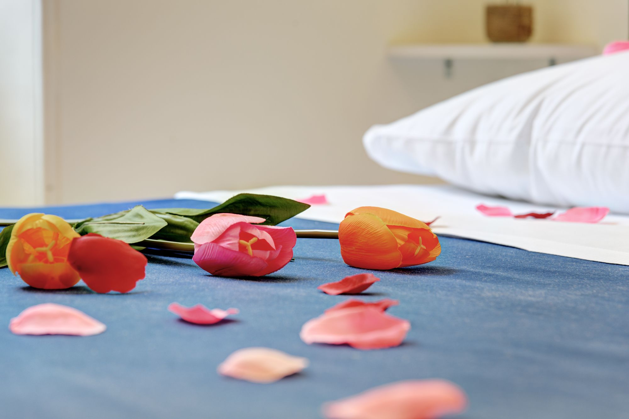 Фото AD Hoc Guest House