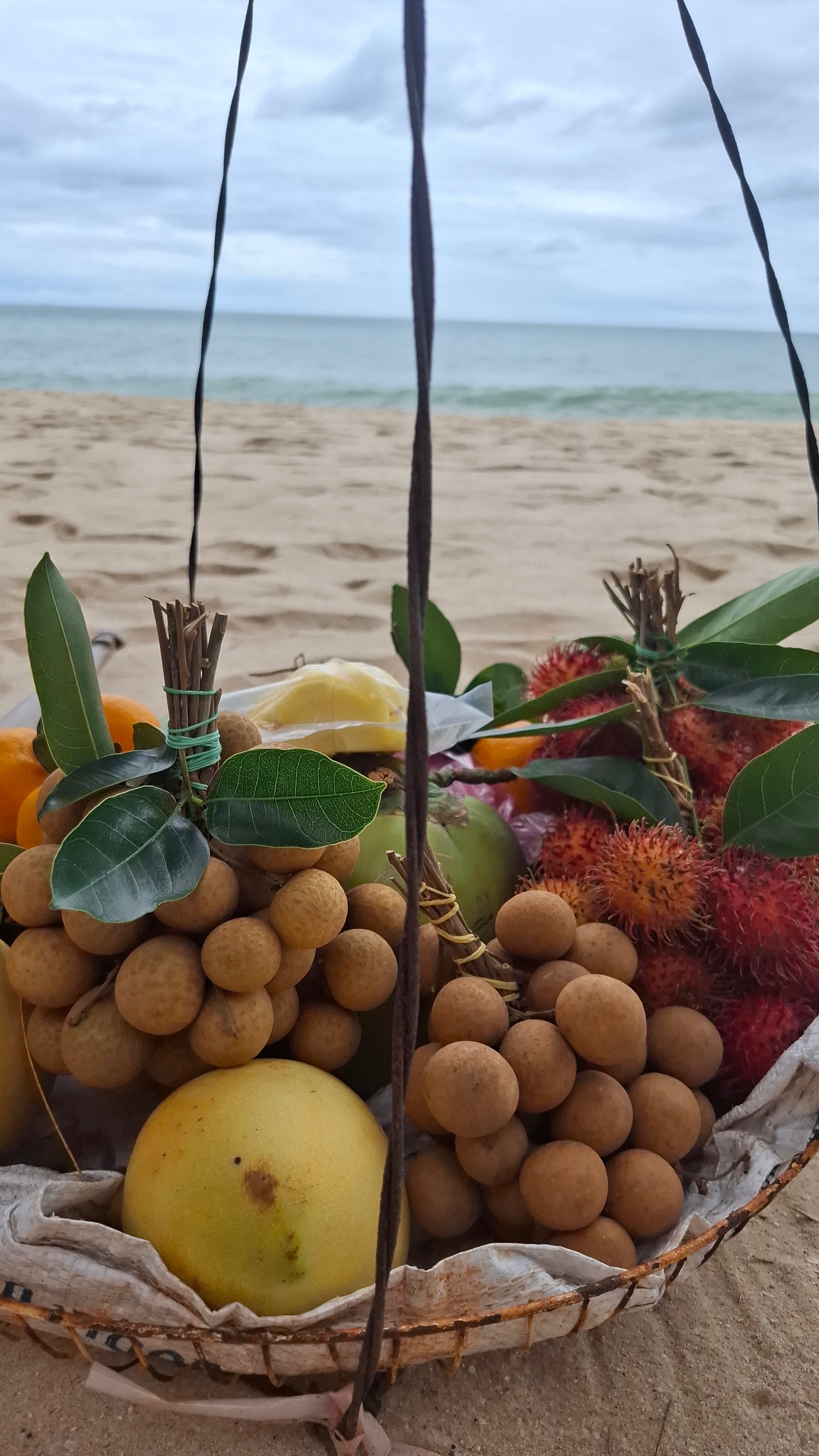 Фото Novela Muine Resort & SPA