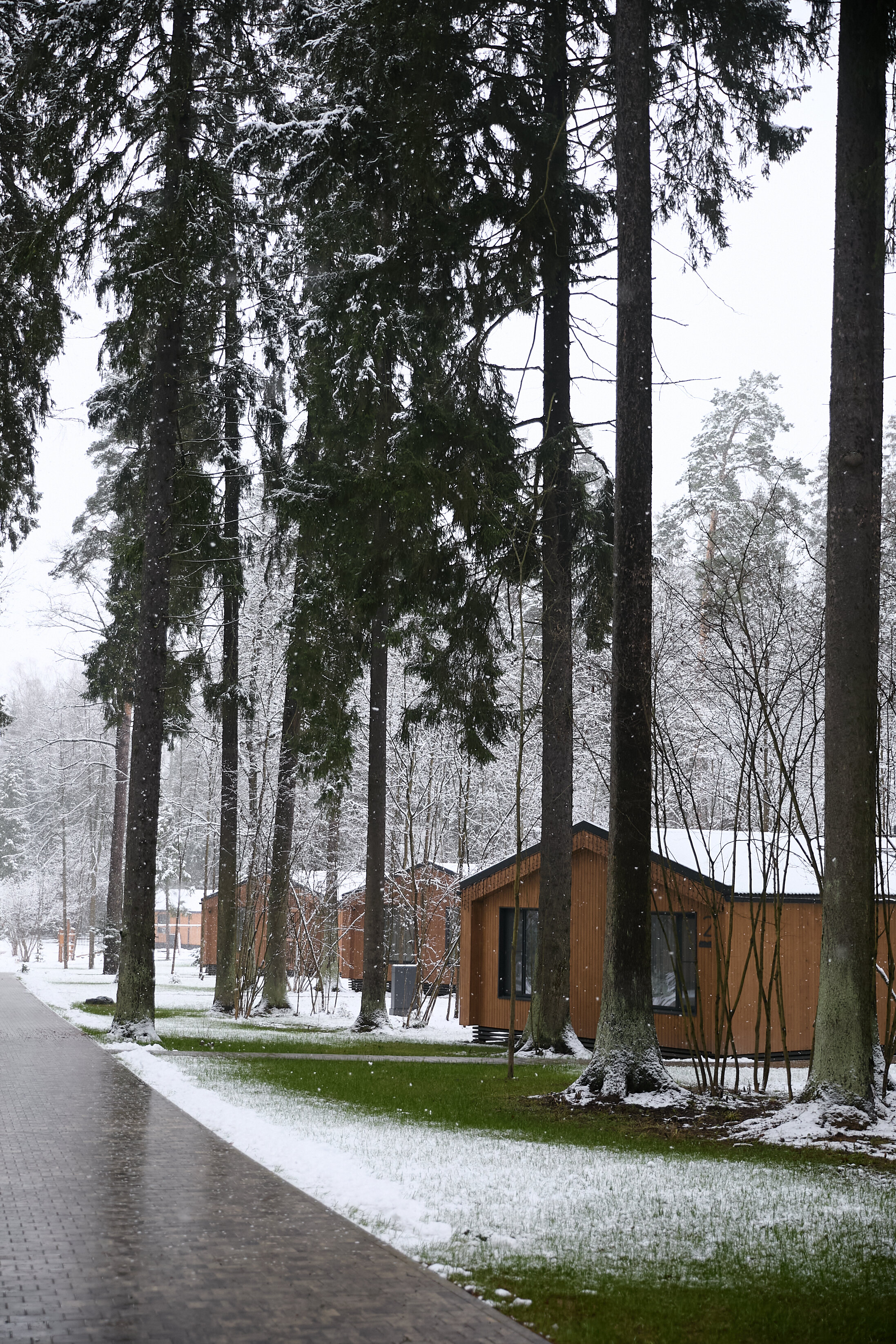 Фото Рябиновый берег