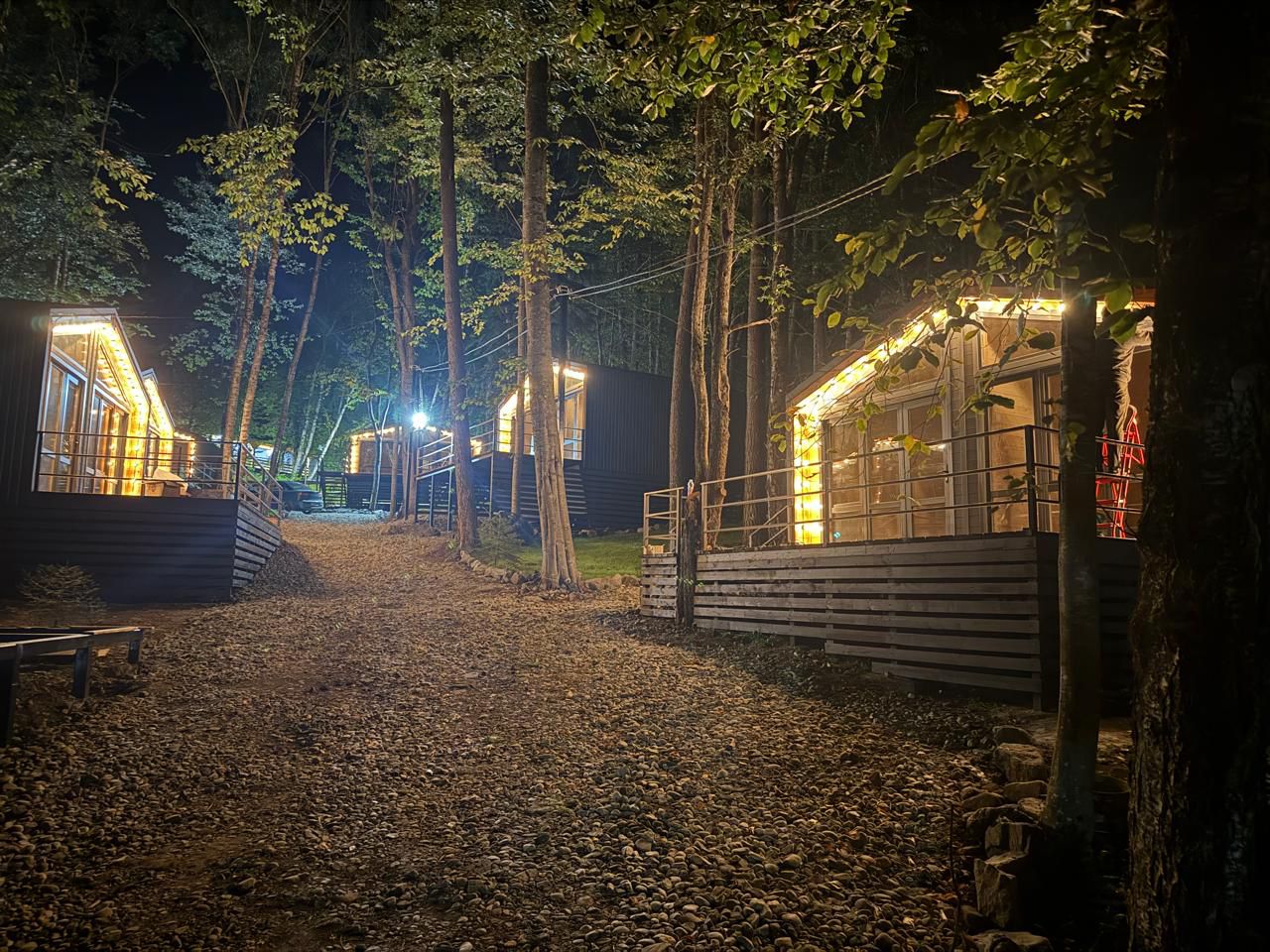 Фото Шёпот Леса