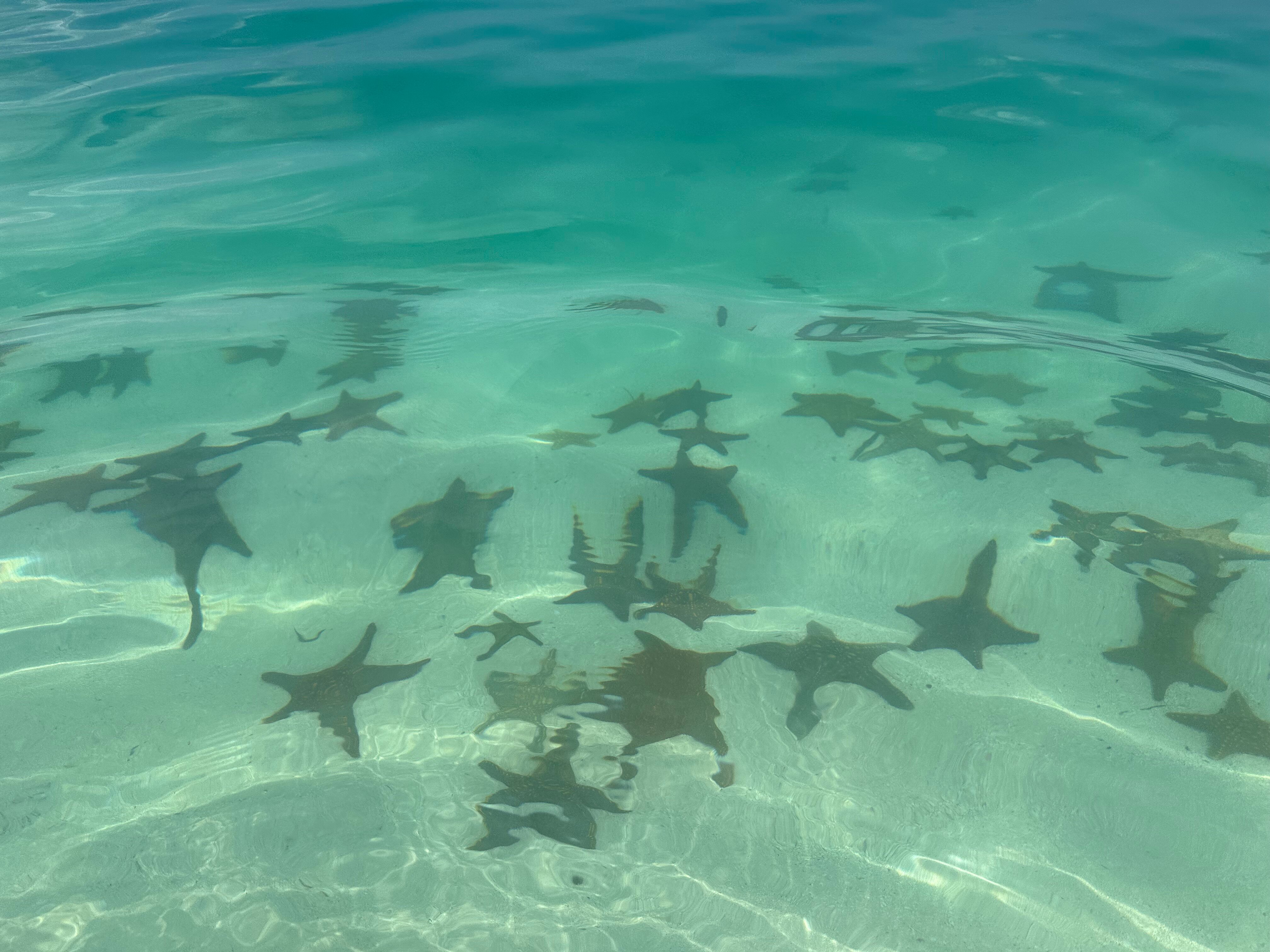 Фото Tropicana Kendwa Beach