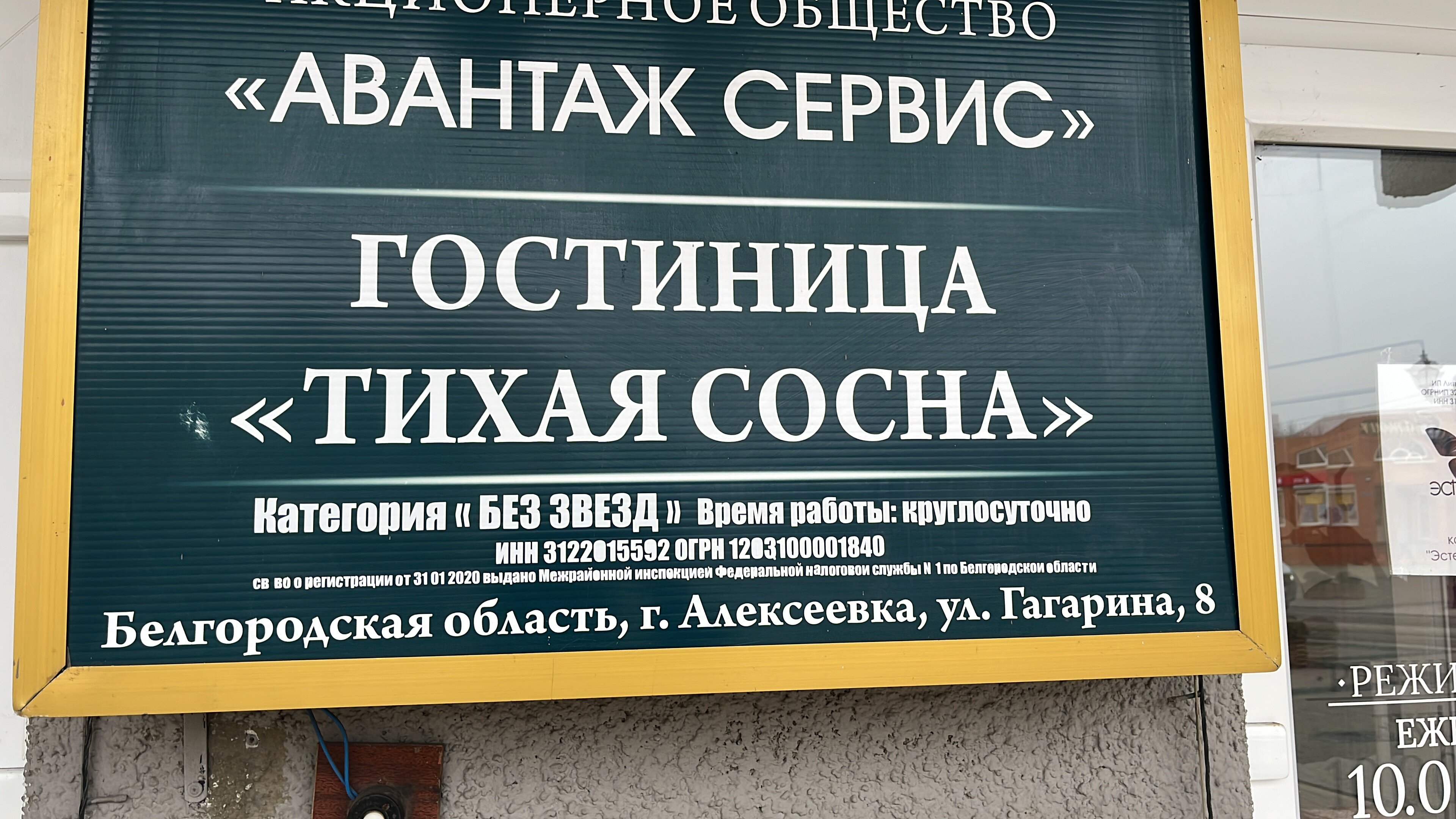 Фото Тихая сосна