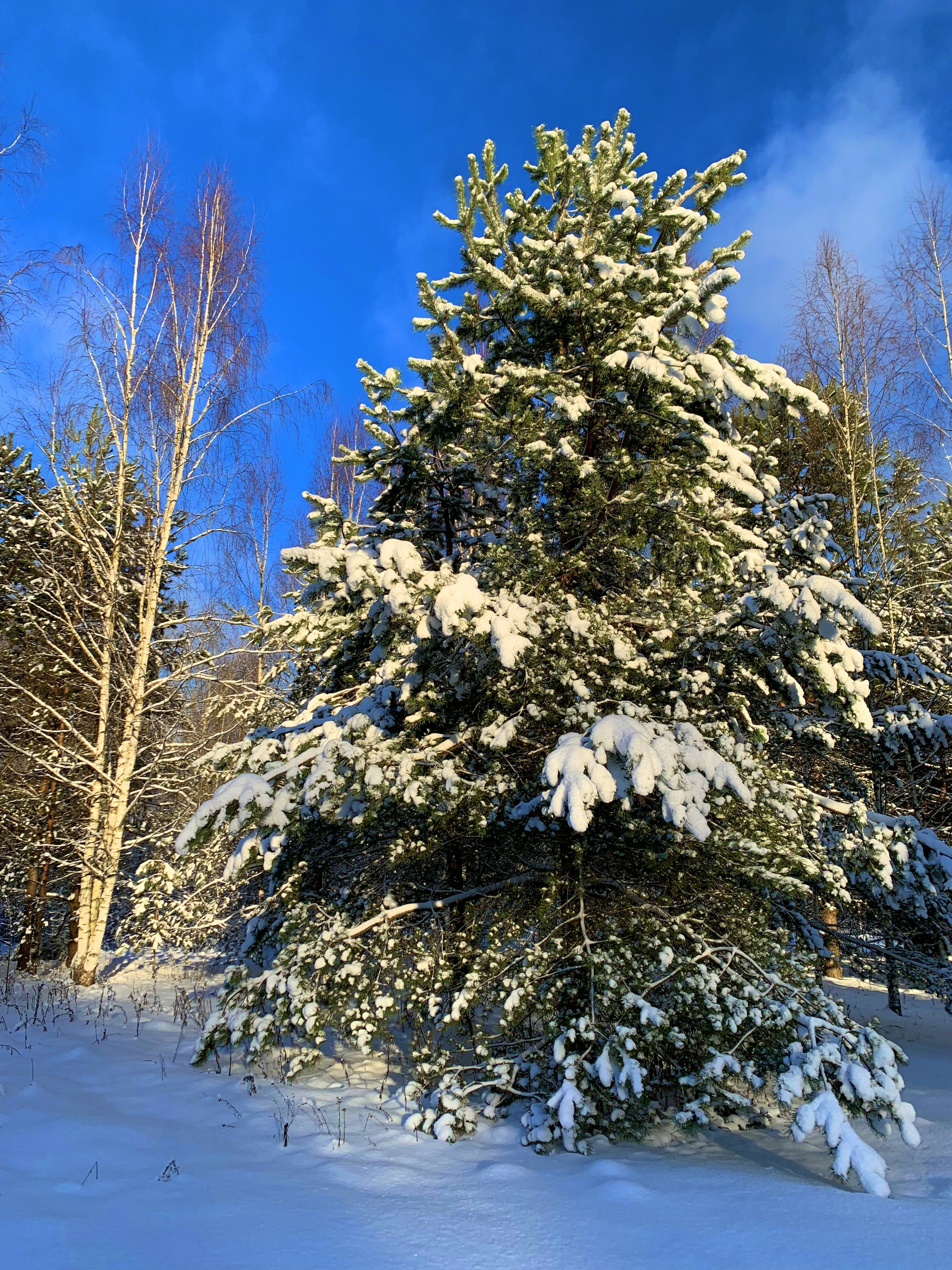 Фото Zarechye