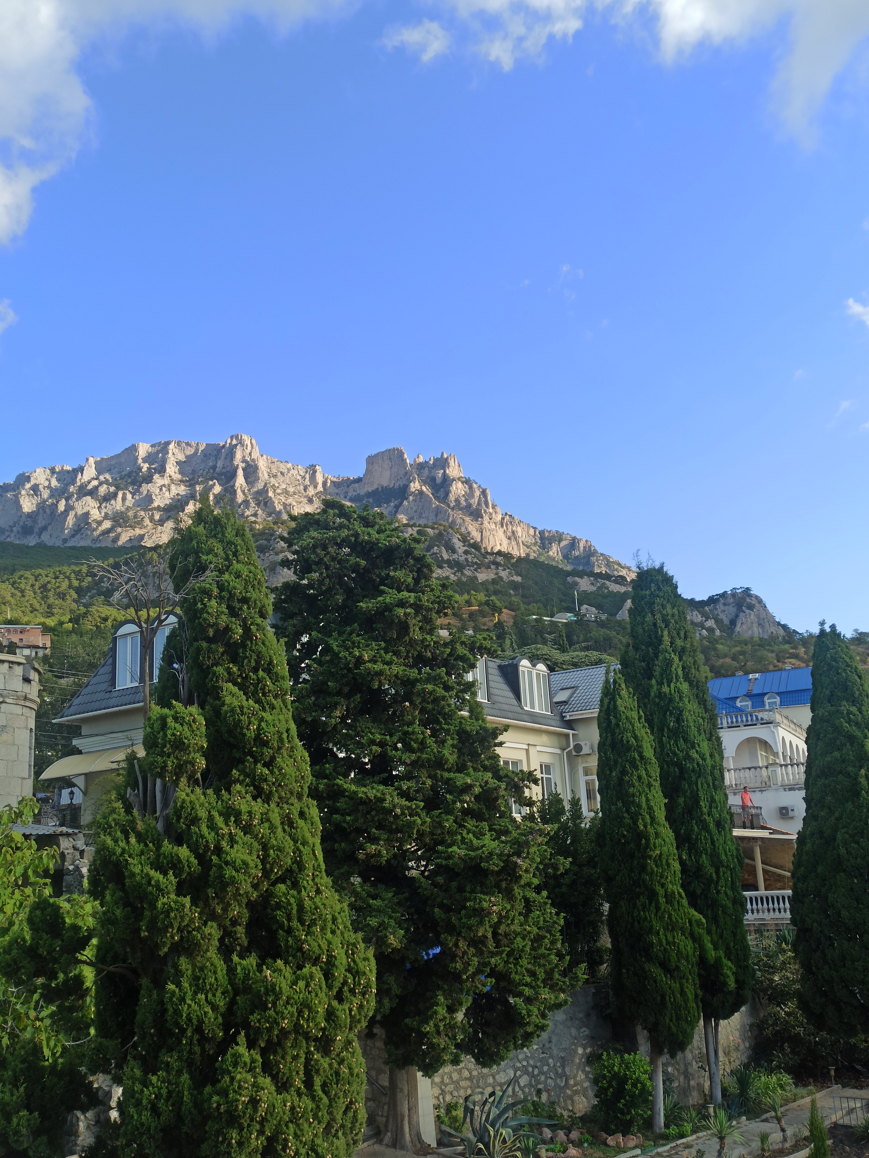 Фото Алубика