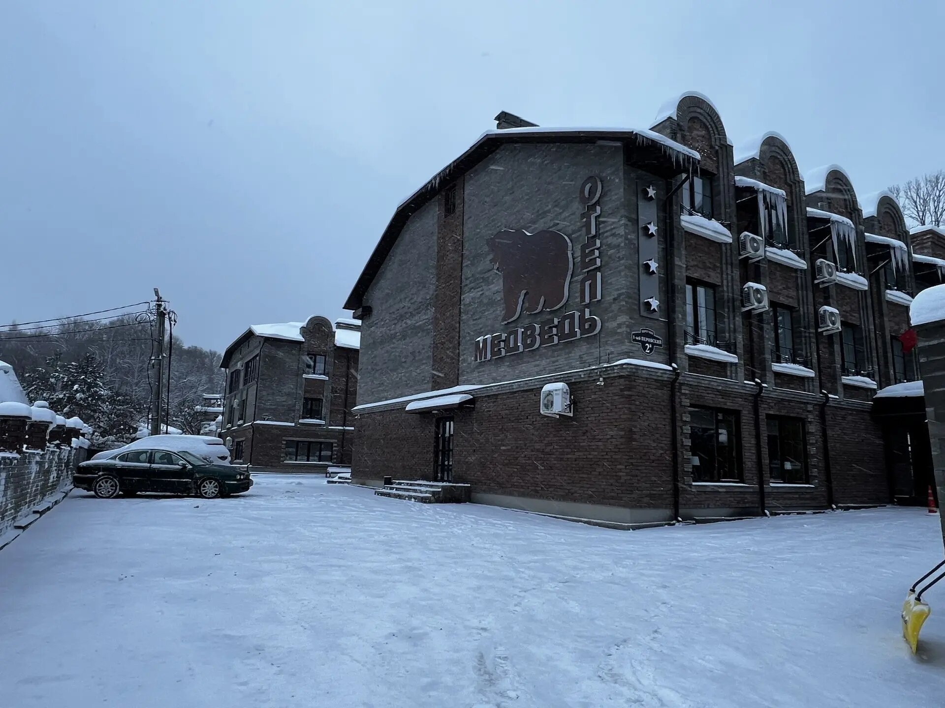 Фото Медведь