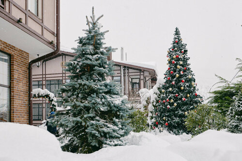 Гостиница Грейс Империал в Эсто-Садке