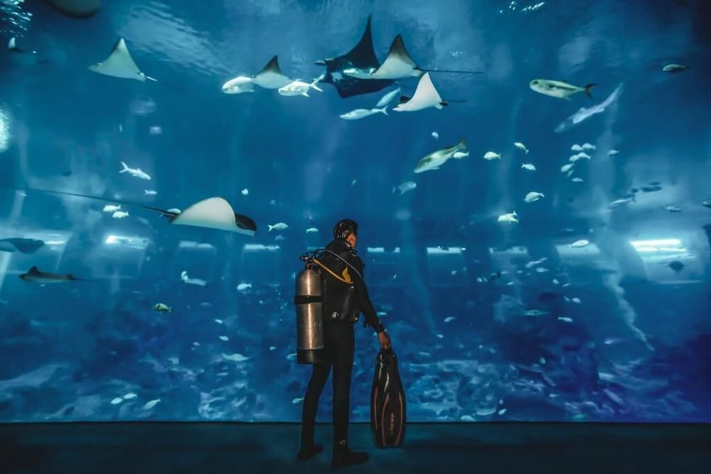 Фото Resorts World Sentosa - Hotel Ora