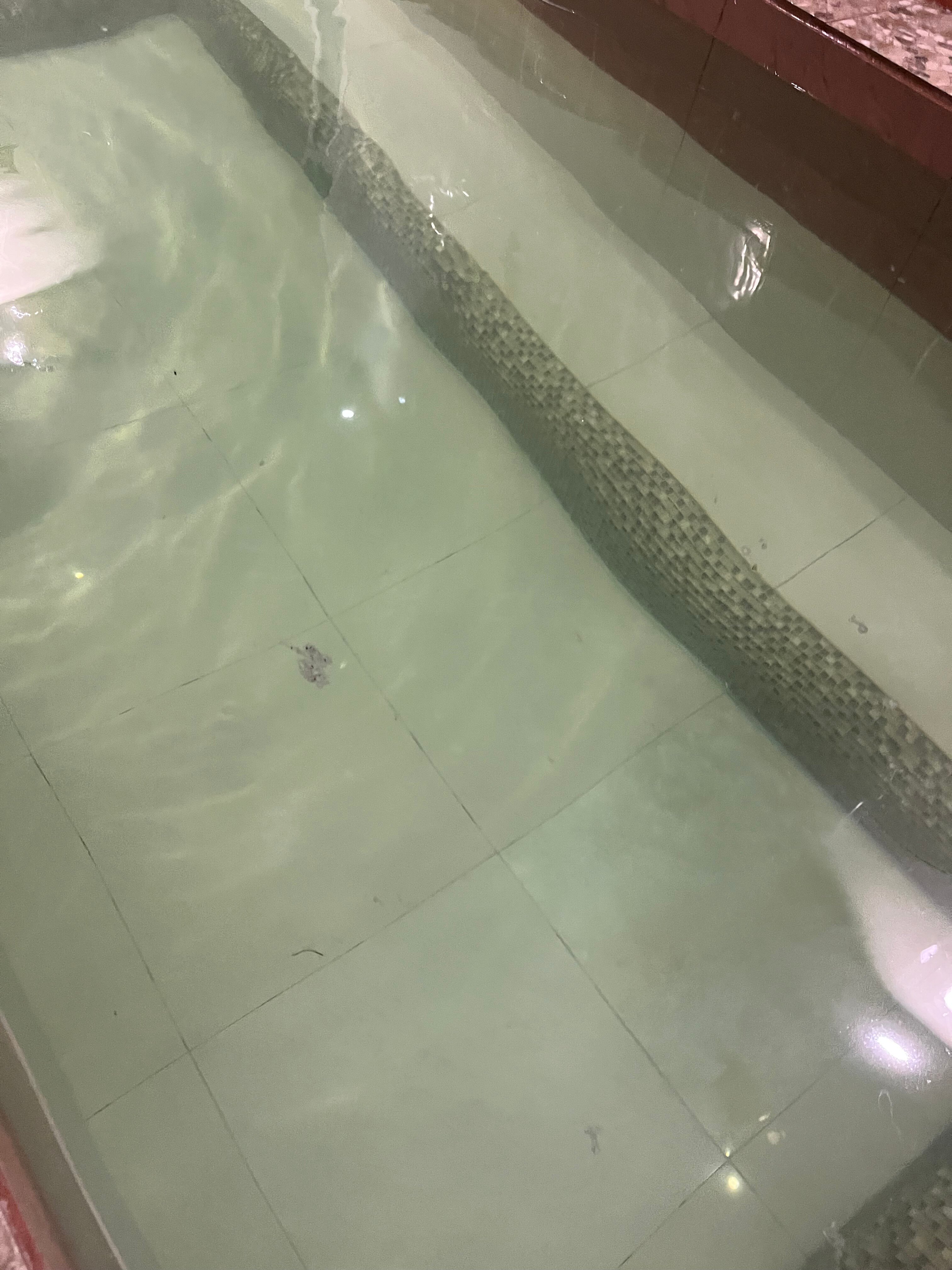 Фото Дмитриевские бани