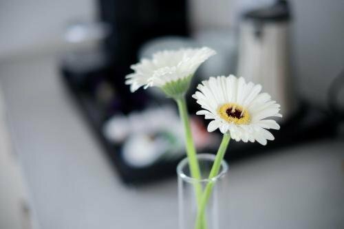 Гостиница Apex Nurburg в Нюрбурге