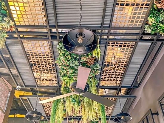 Фото The Twizt - Lifestyle Hostel & Hotel