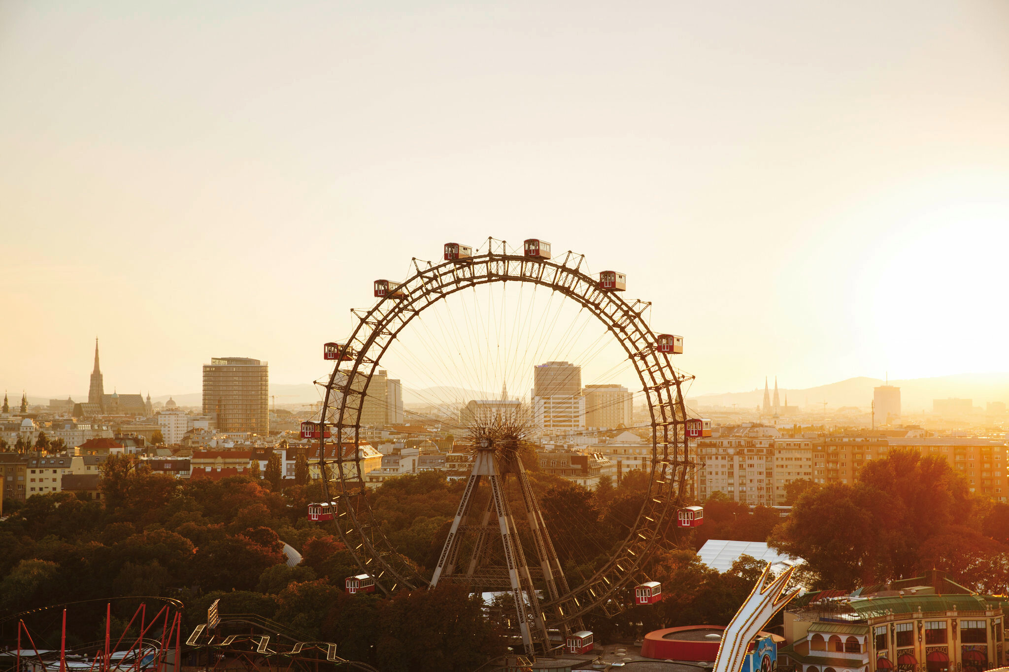 Фото The niu Franz