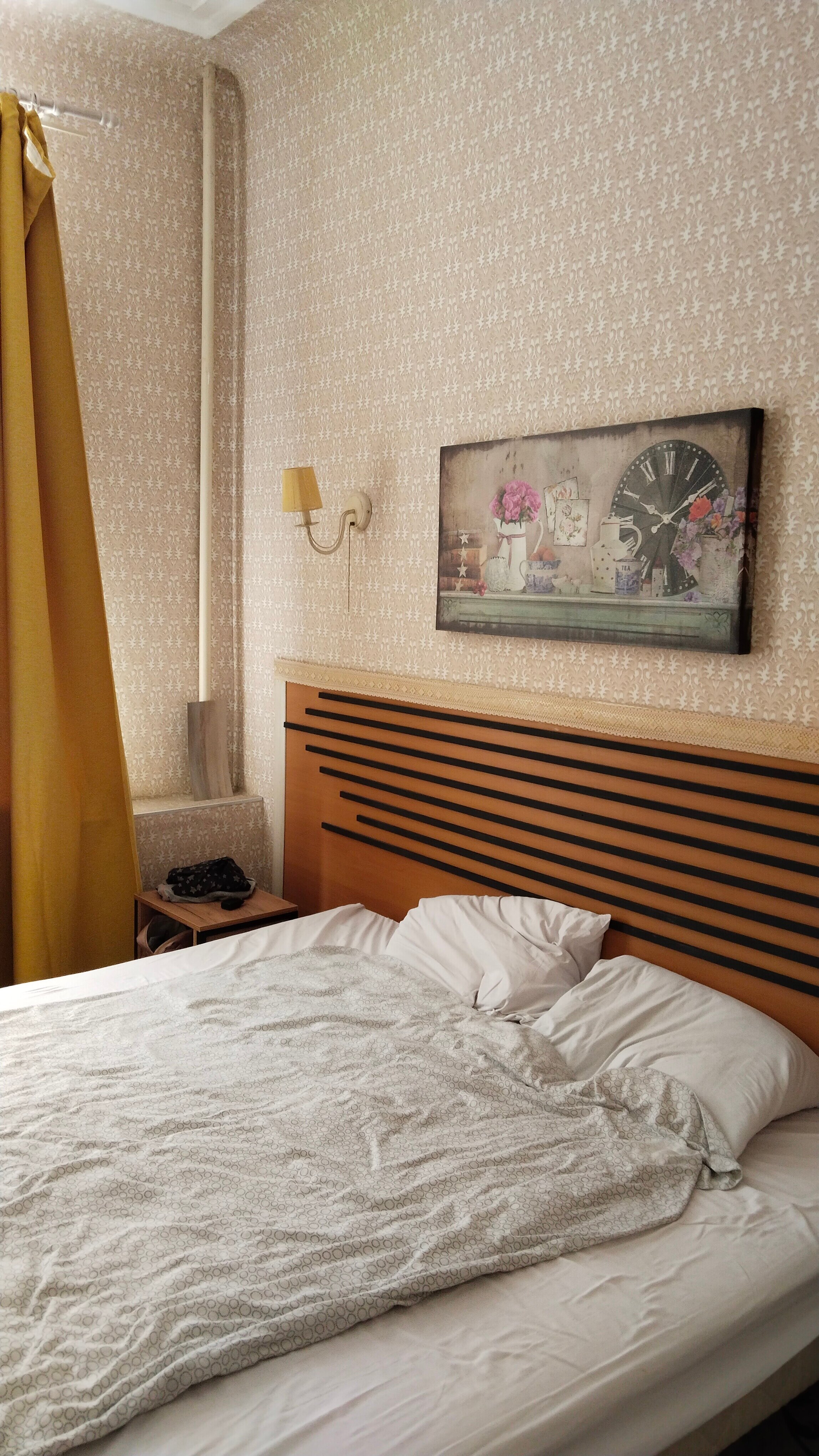 Фото Старый кот