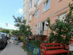 Магазин хозтоваров и бытовой химии (9 Yanvarya Street, 241/11) ، متجر للمستلزمات المنزلية