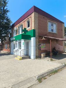 Белуга
