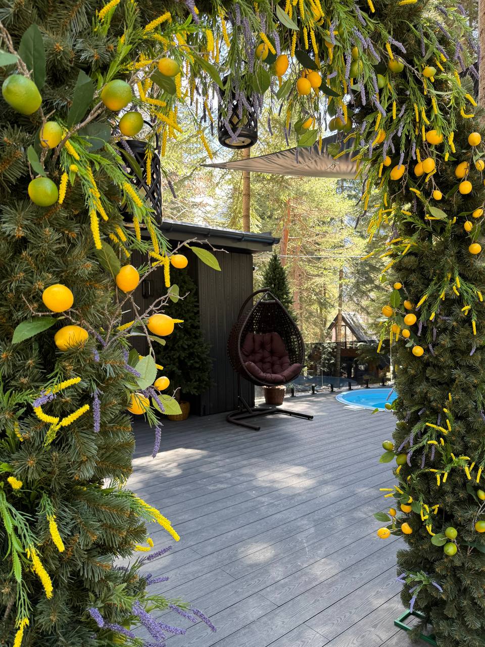 Фото Magic Forest