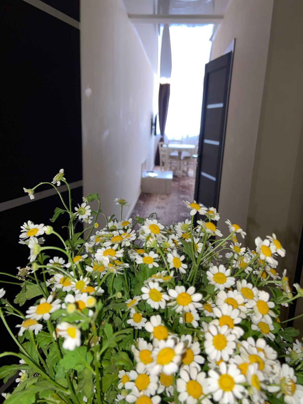 Фото МыСморя