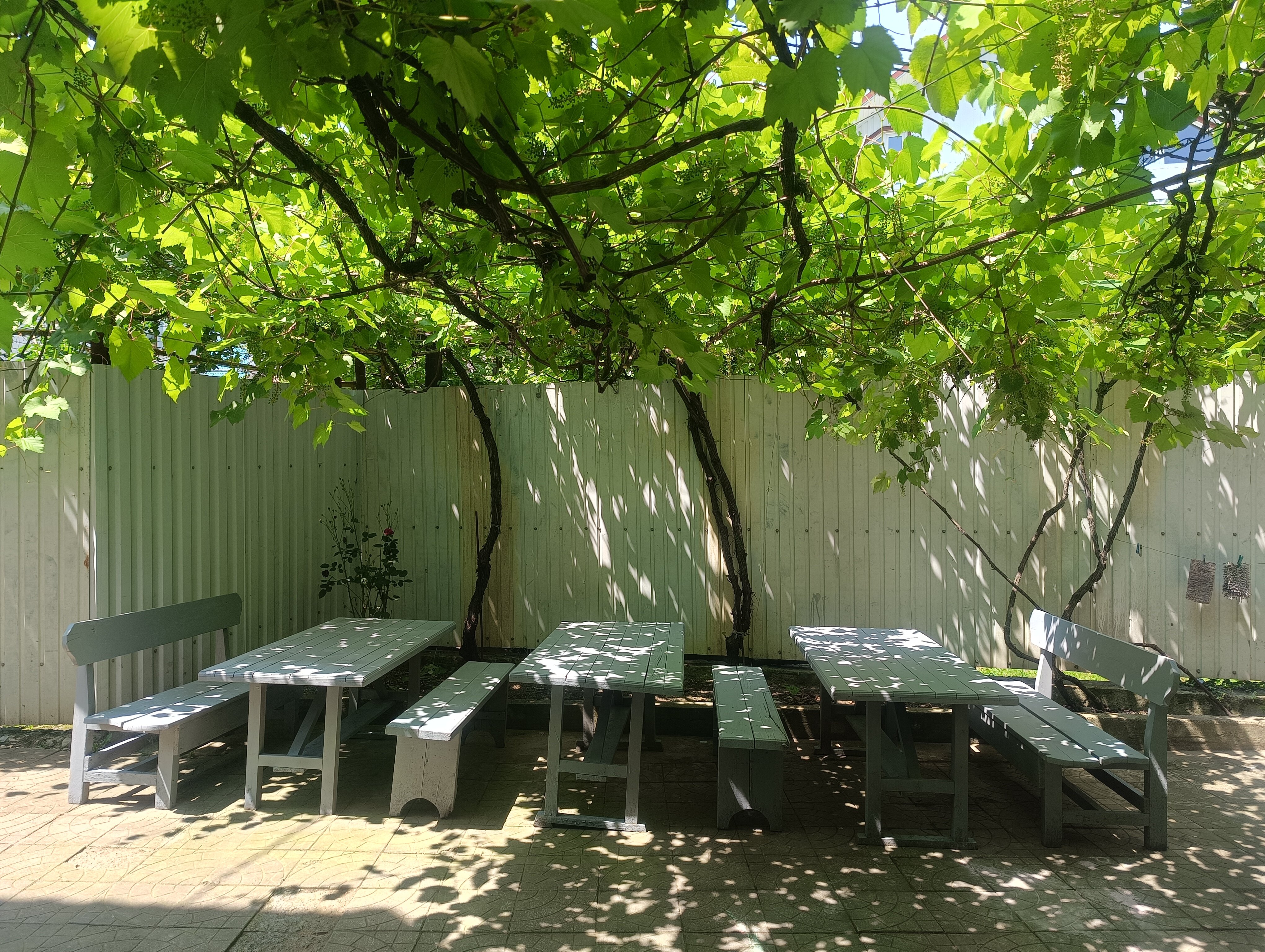 Фото Джубга Road