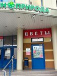 Цветы (ulitsa Gertsena, 62), flower shop