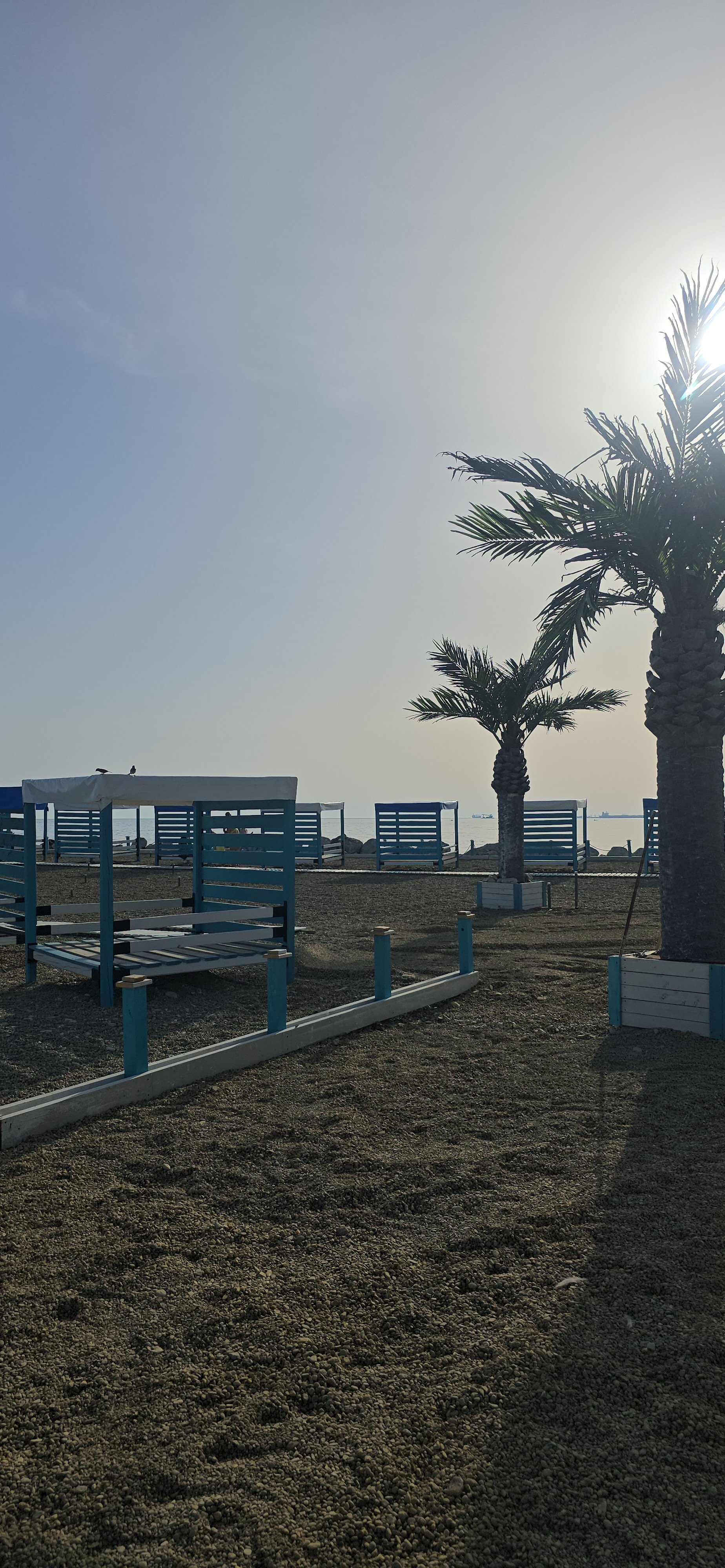 Фото Апартаменты