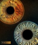 Art Eyes (Krasnodar, Tsentralniy City administrative district, Tsentralniy Microdistrict, Krasnoarmejskaya Street, 69) ، استوديو التصوير