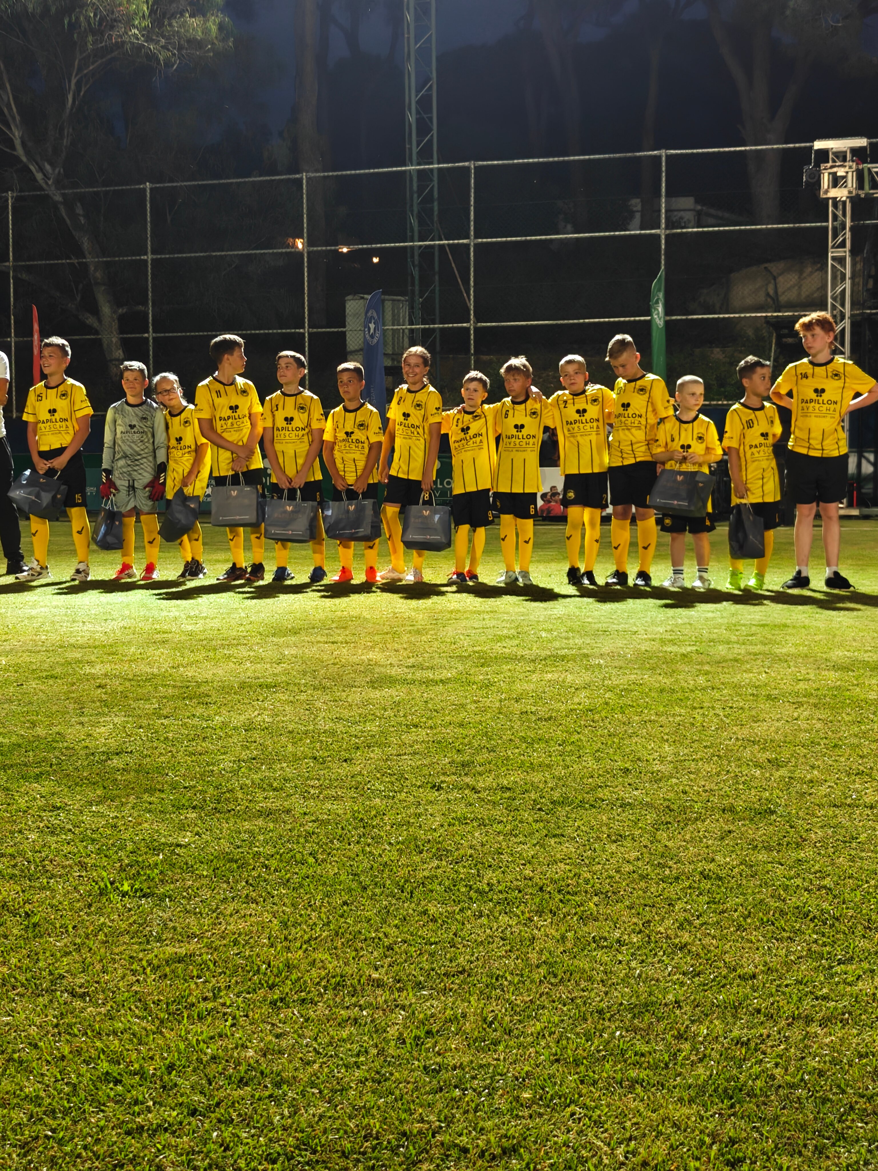 Фото Papillon Ayscha