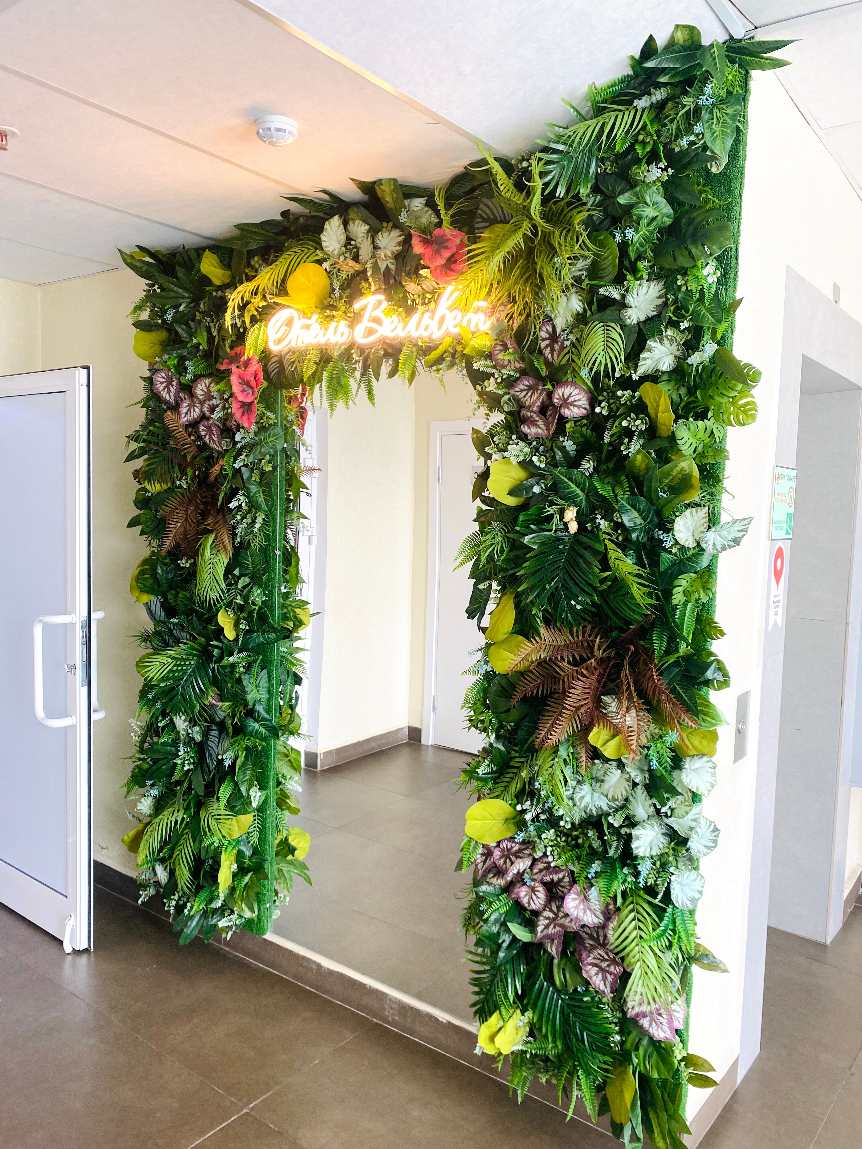 Фото Вельвет