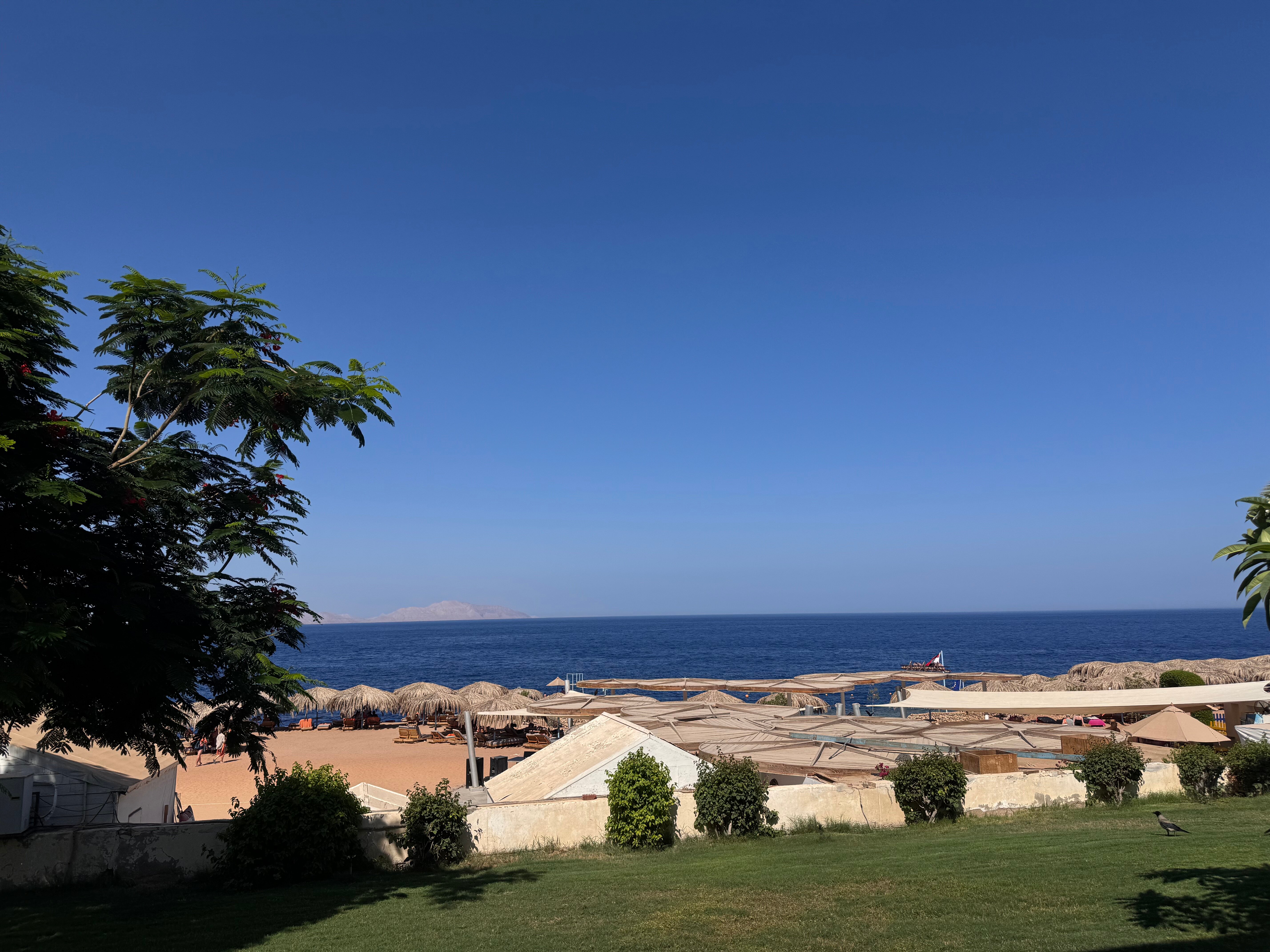 Фото Amphoras Aqua