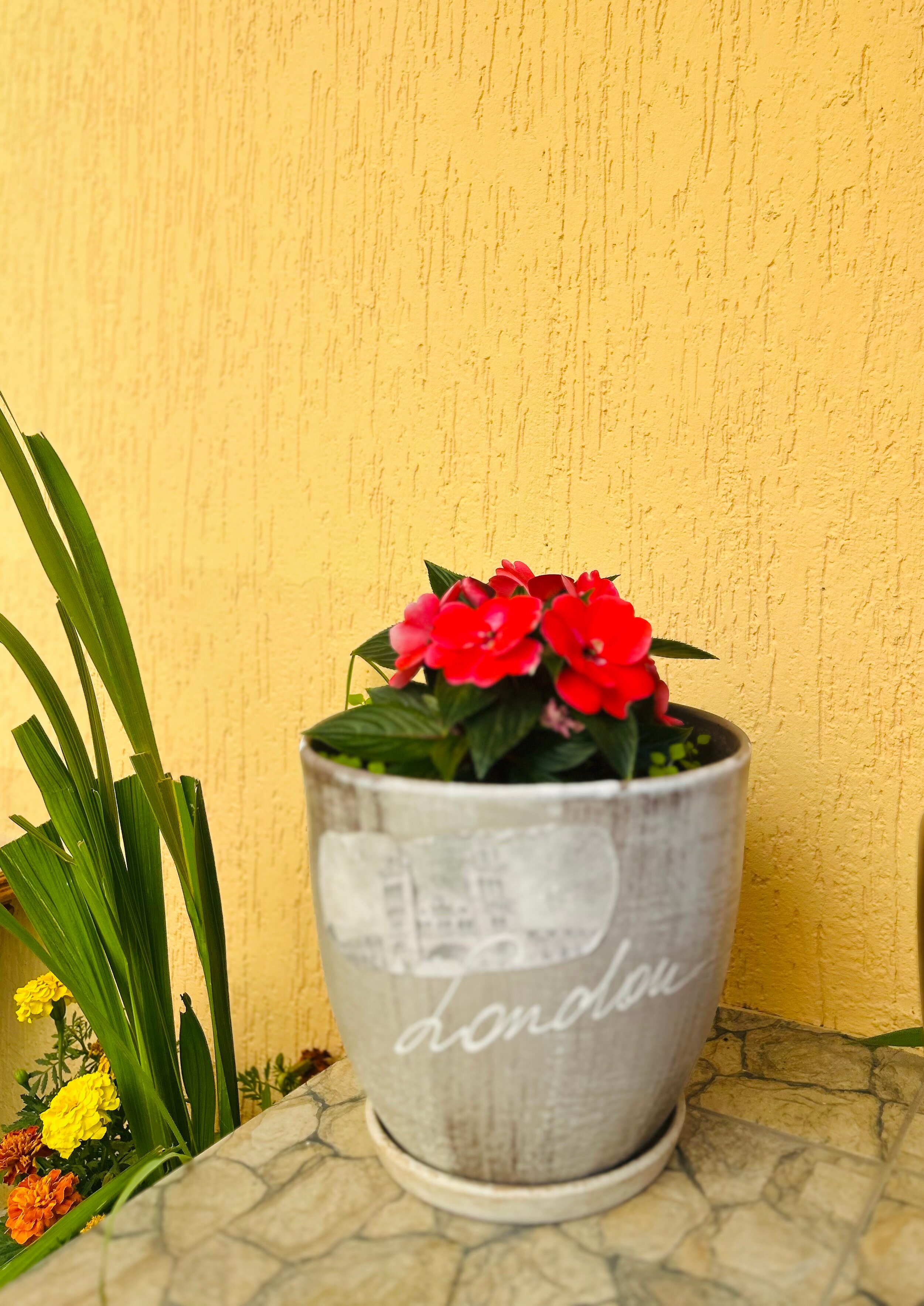 Фото Белый Фламинго