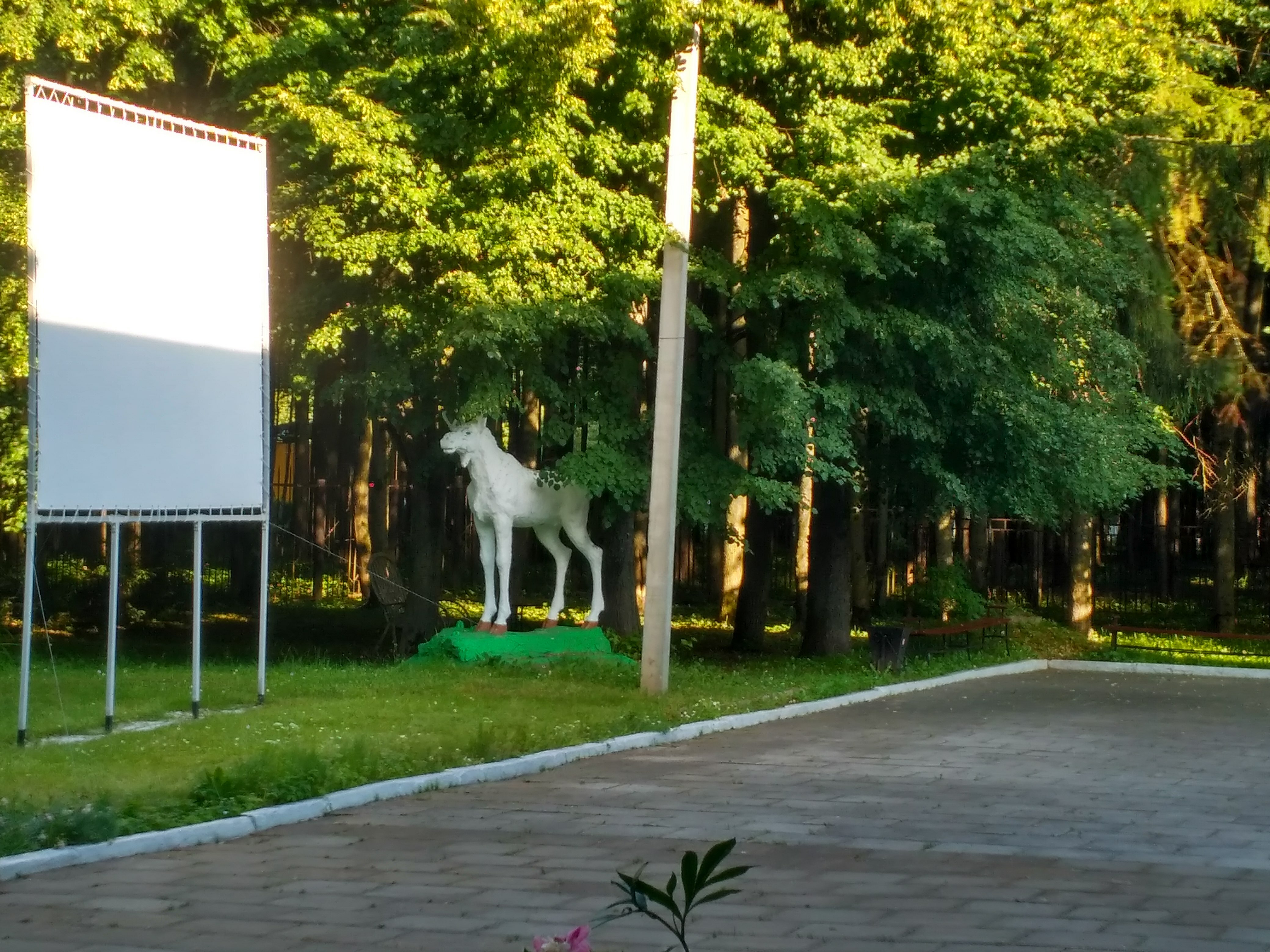 Фото Спортивная