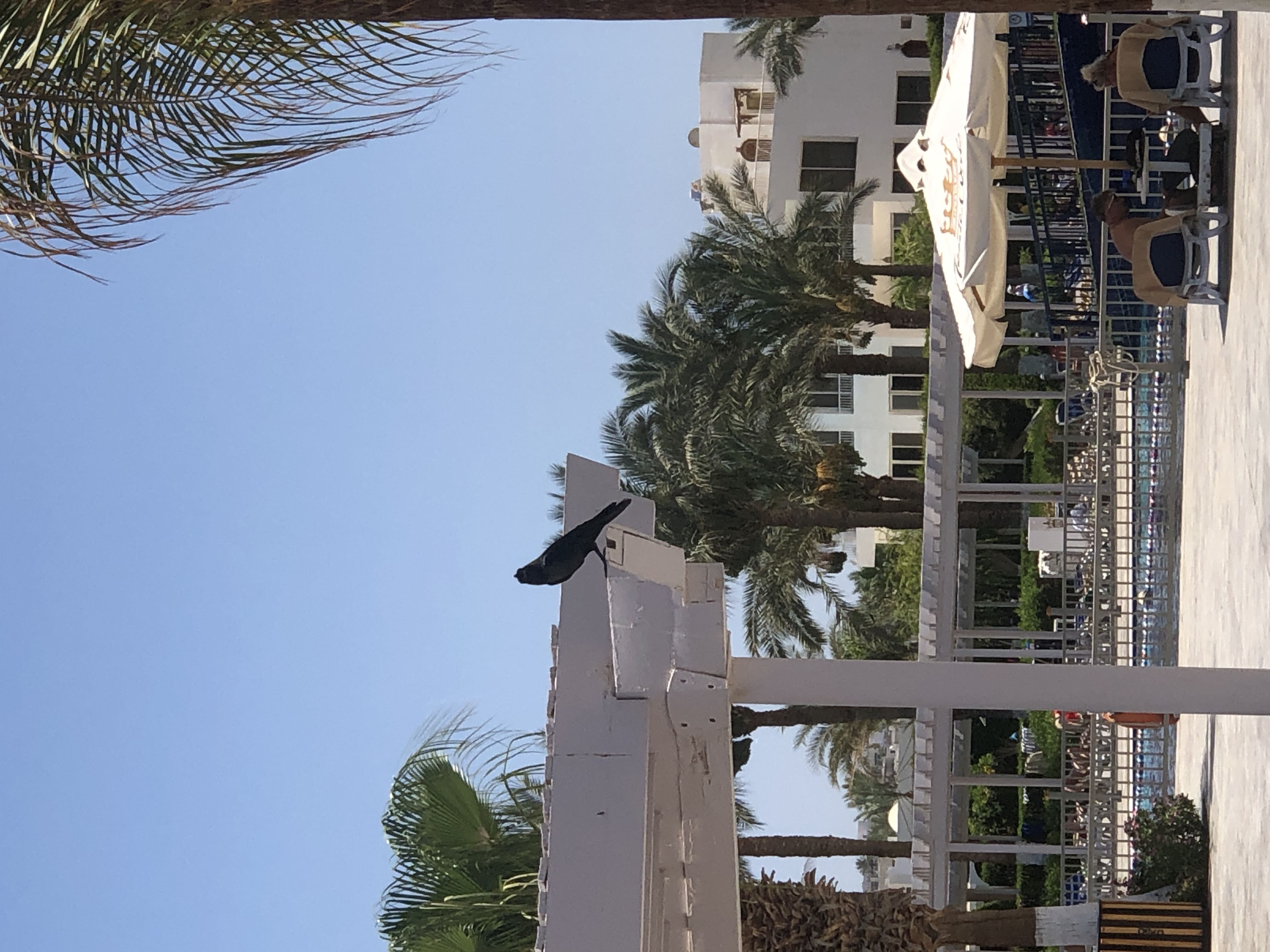 Фото Monte Carlo Sharm Resort & SPA