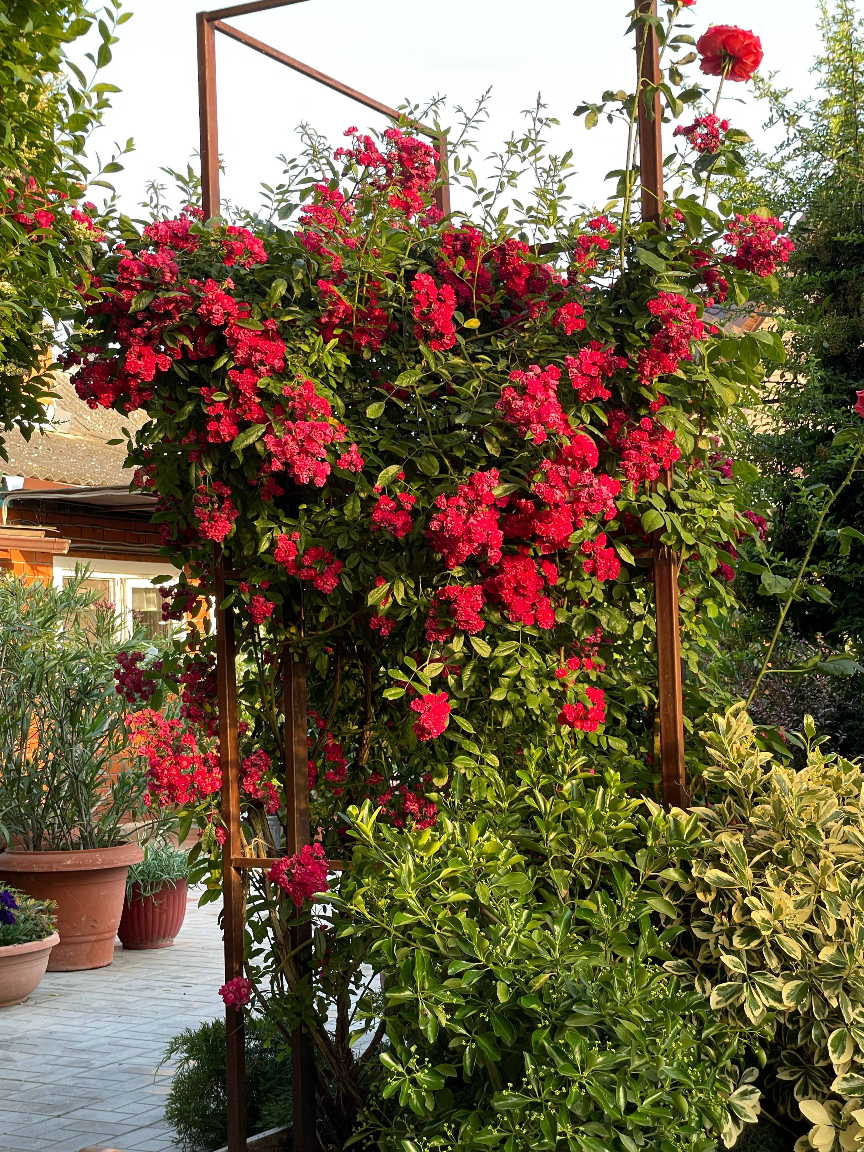 Фото Сказка ИНН