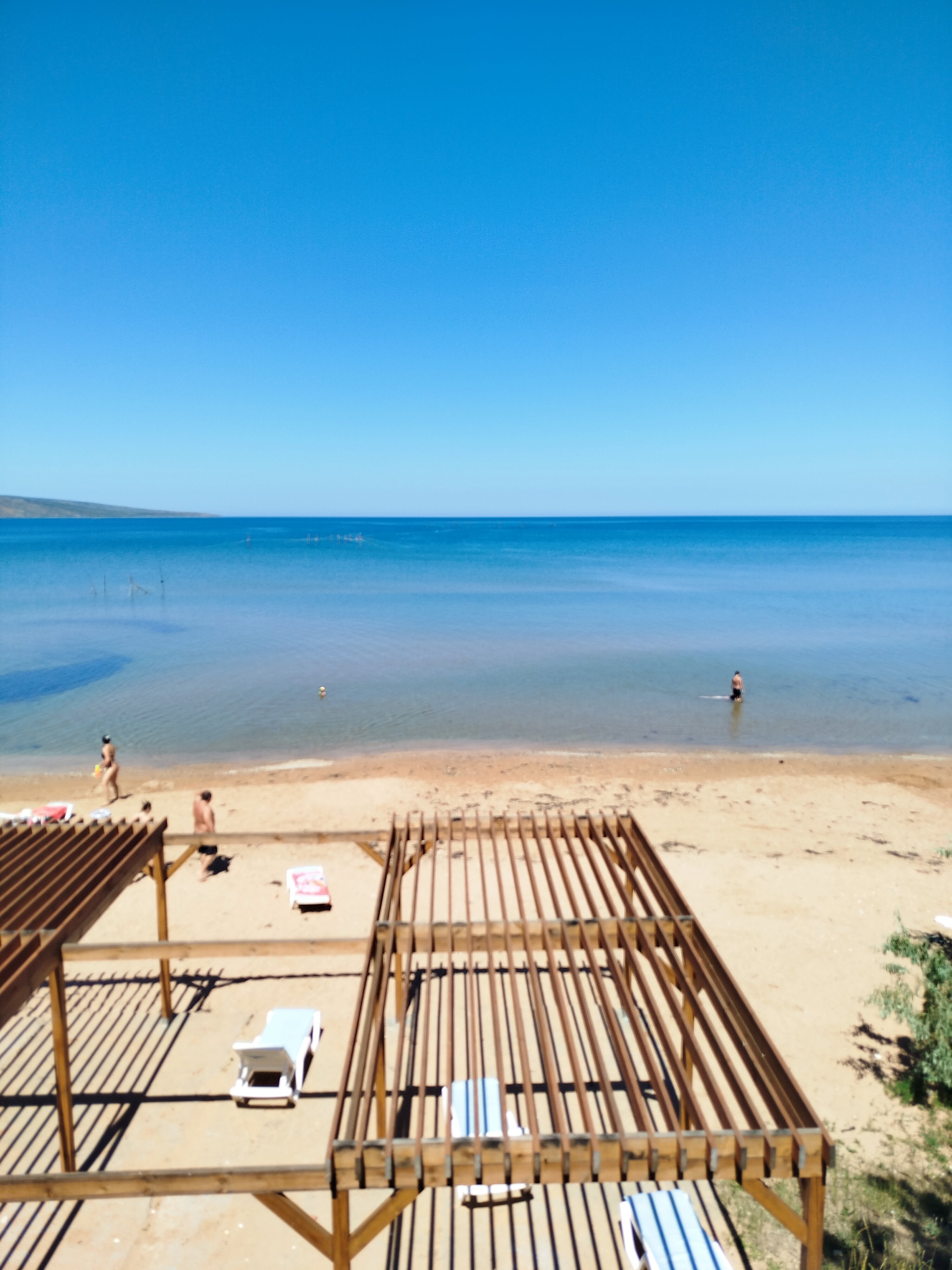 Фото Амбассадор