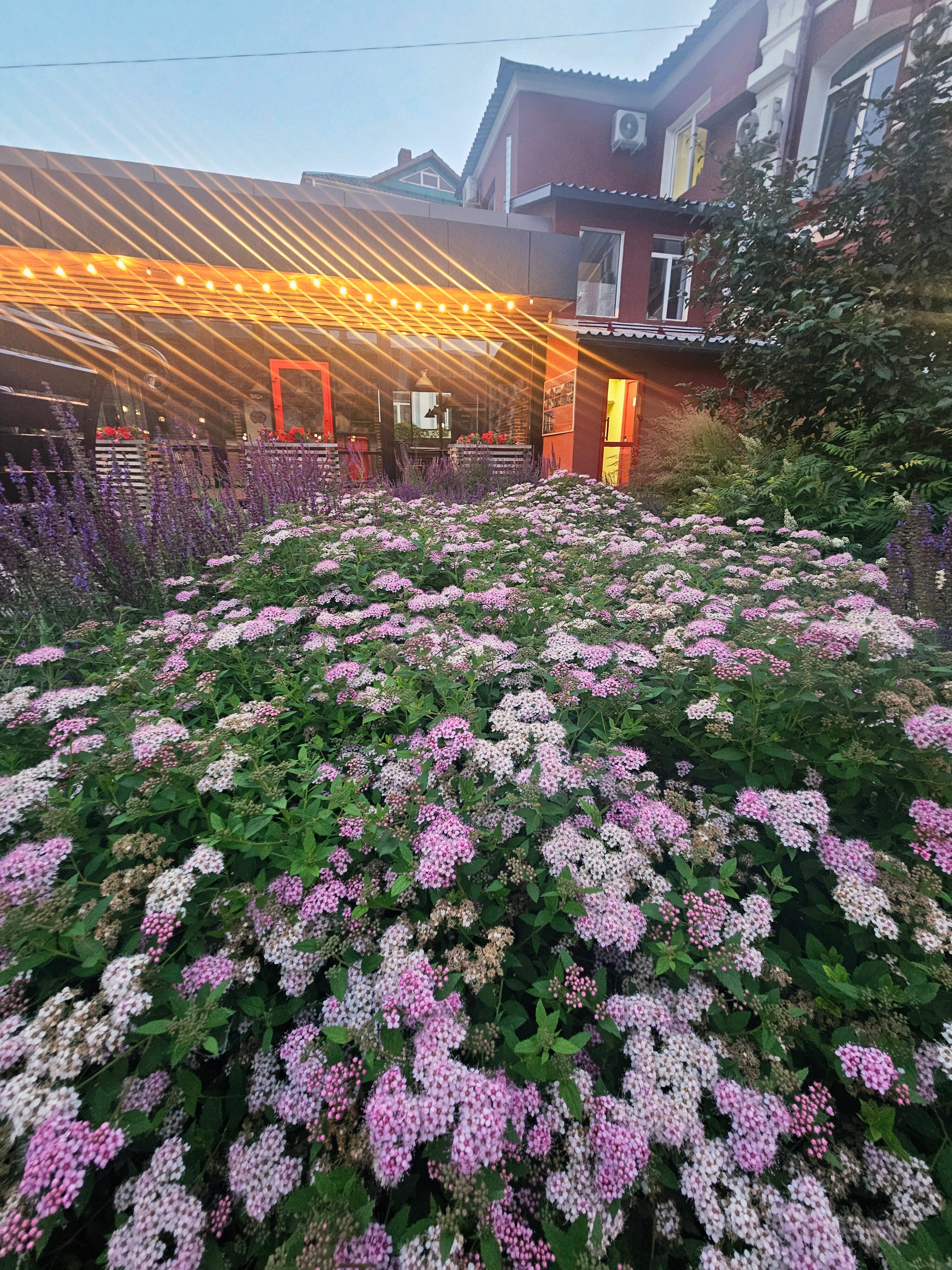 Фото Берисон Московская 66а