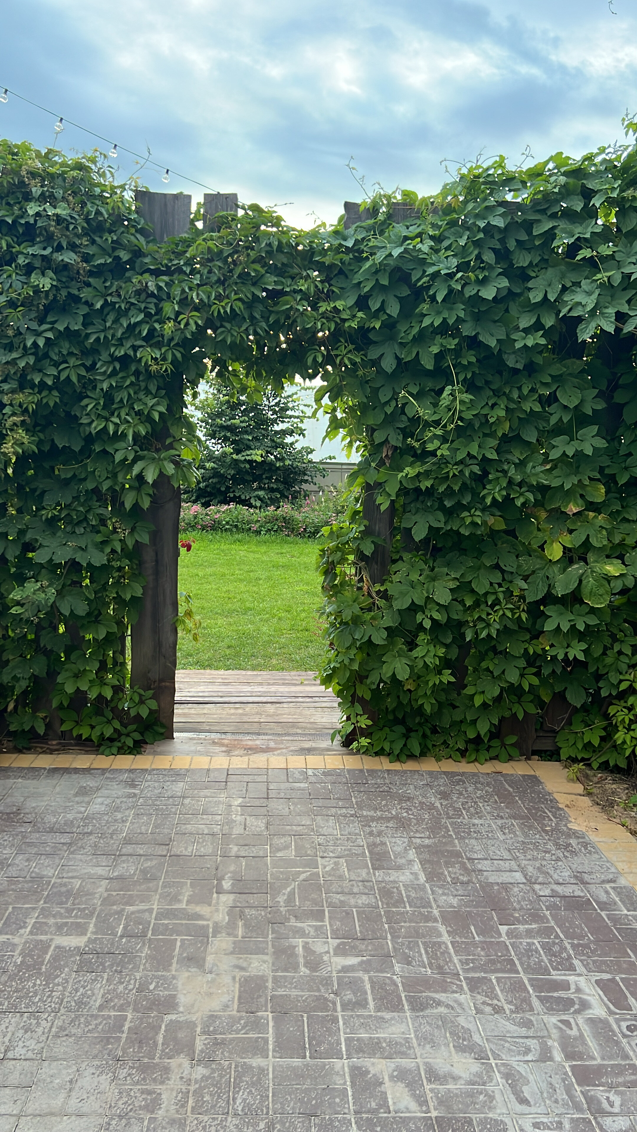 Фото 33 Пушкина