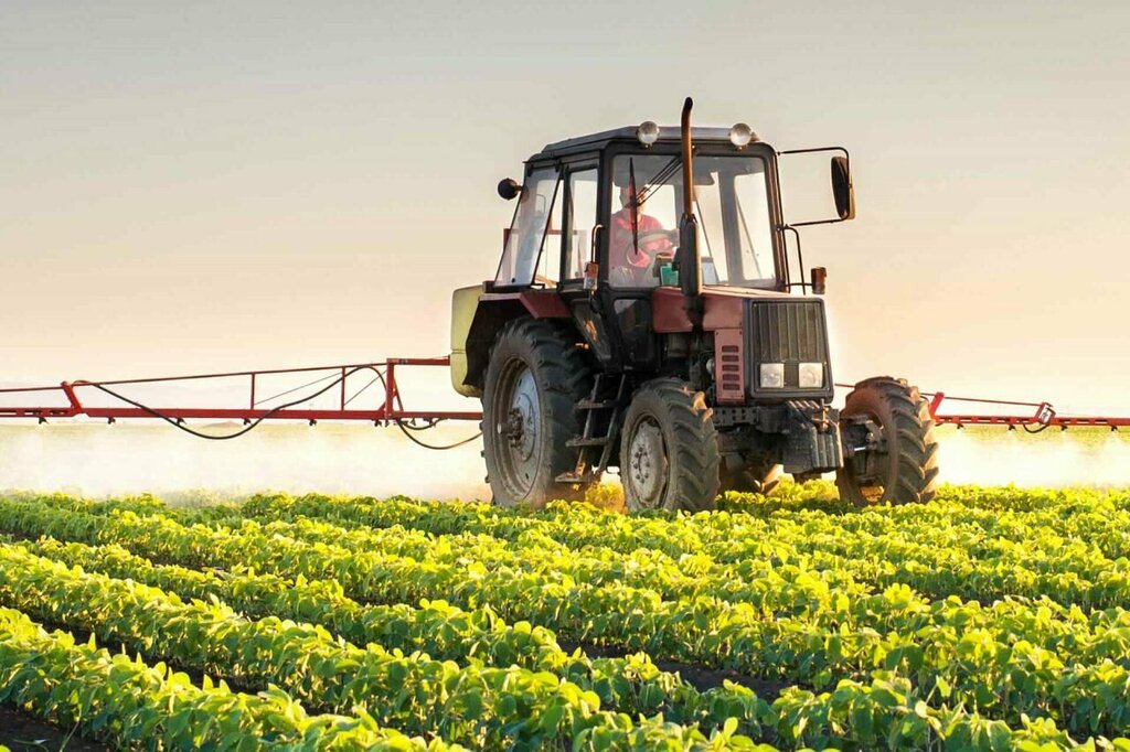 Software companies Aionet Bilişim ve Teknoloji Hizmetleri, Izmir, photo