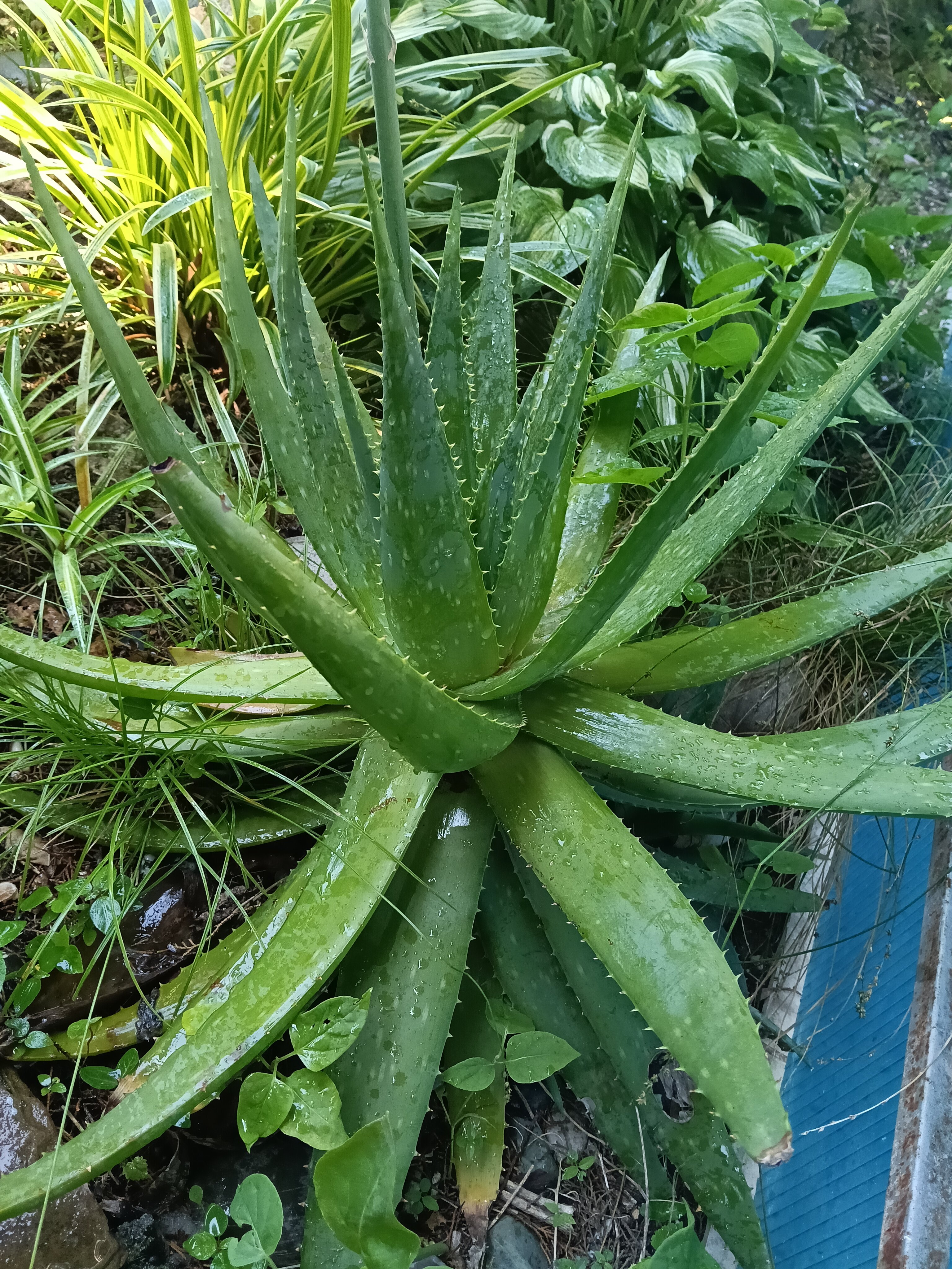 Фото Айсберг