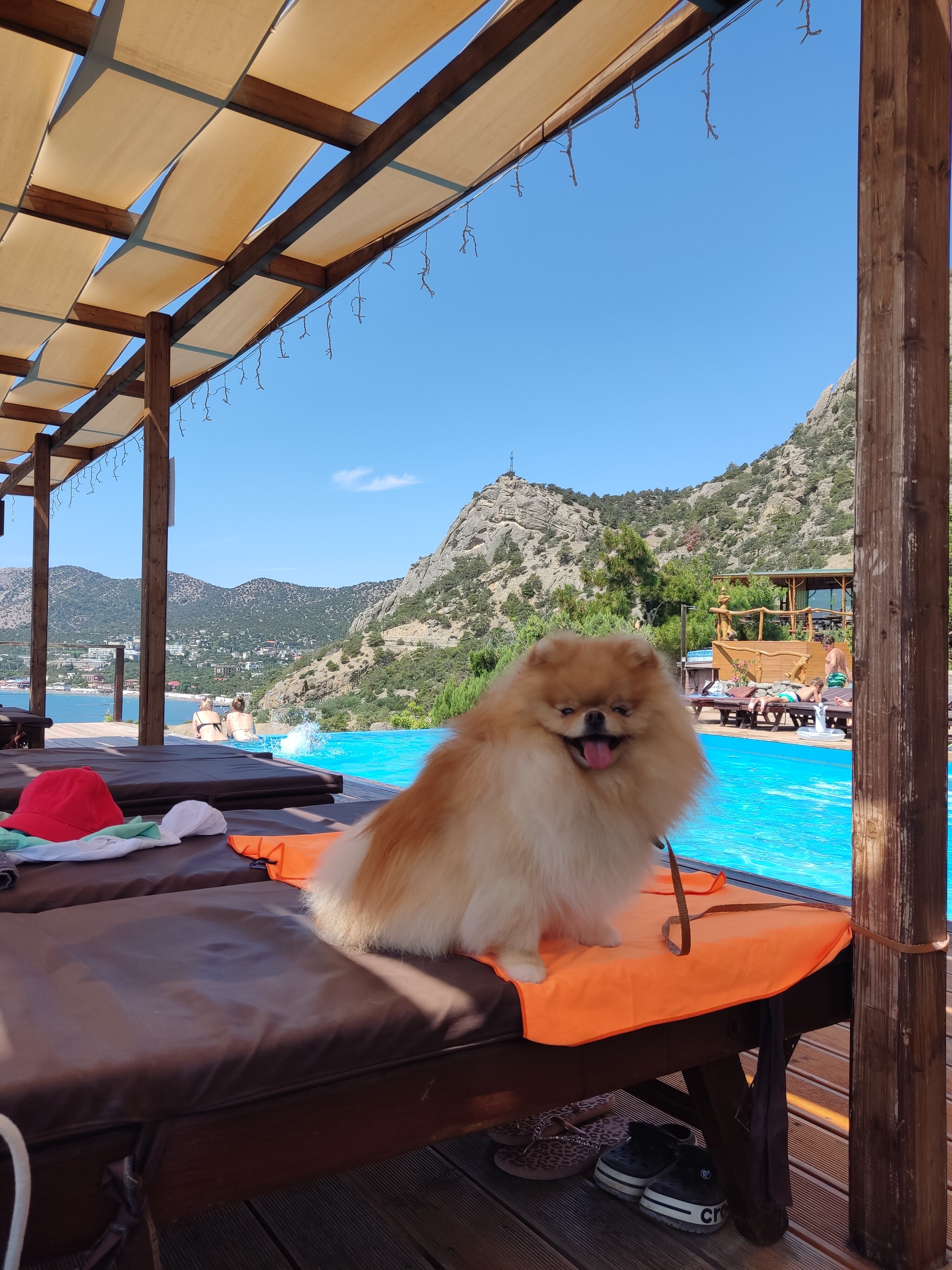 Фото У Берендея