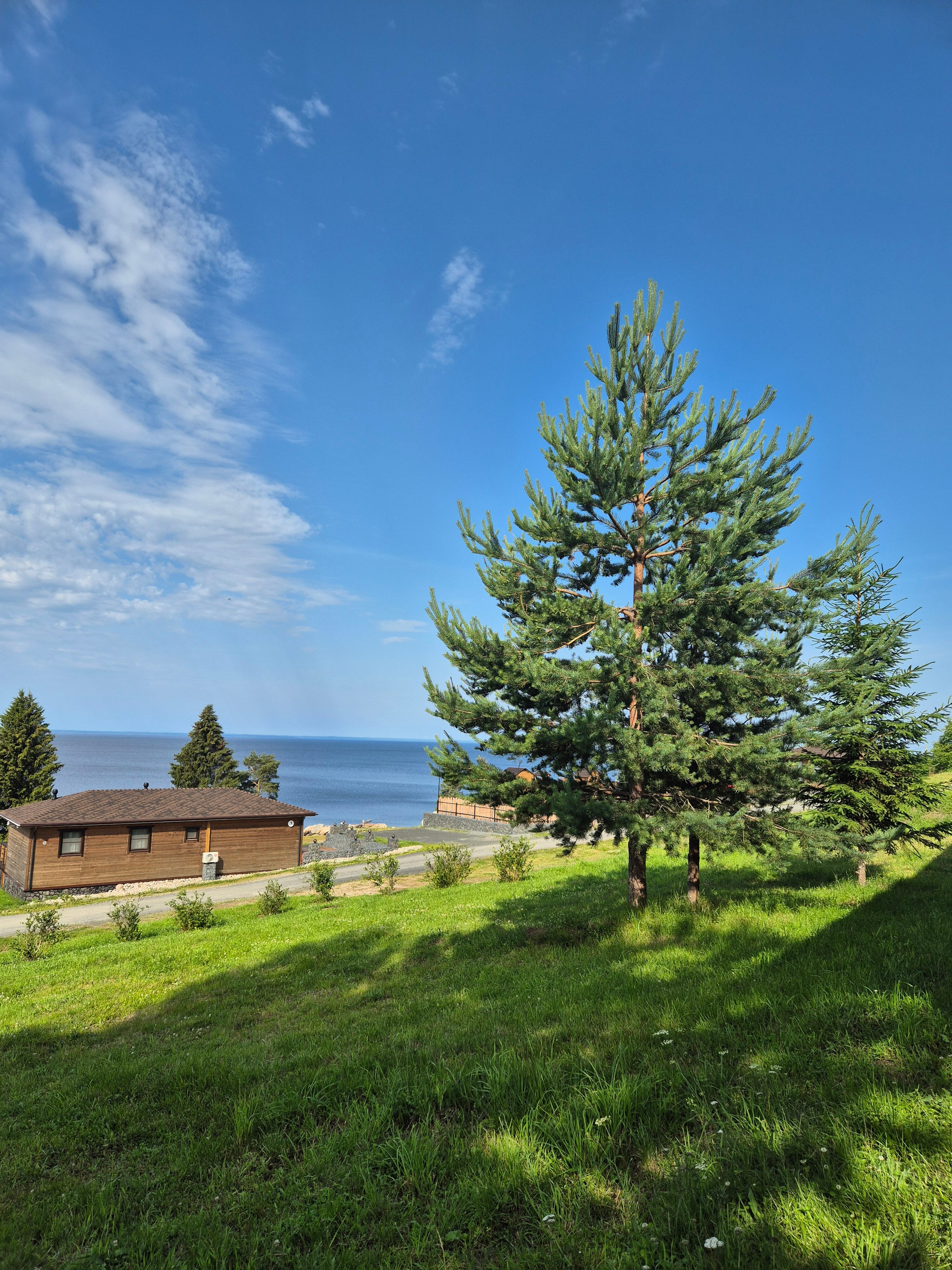 Фото Севера