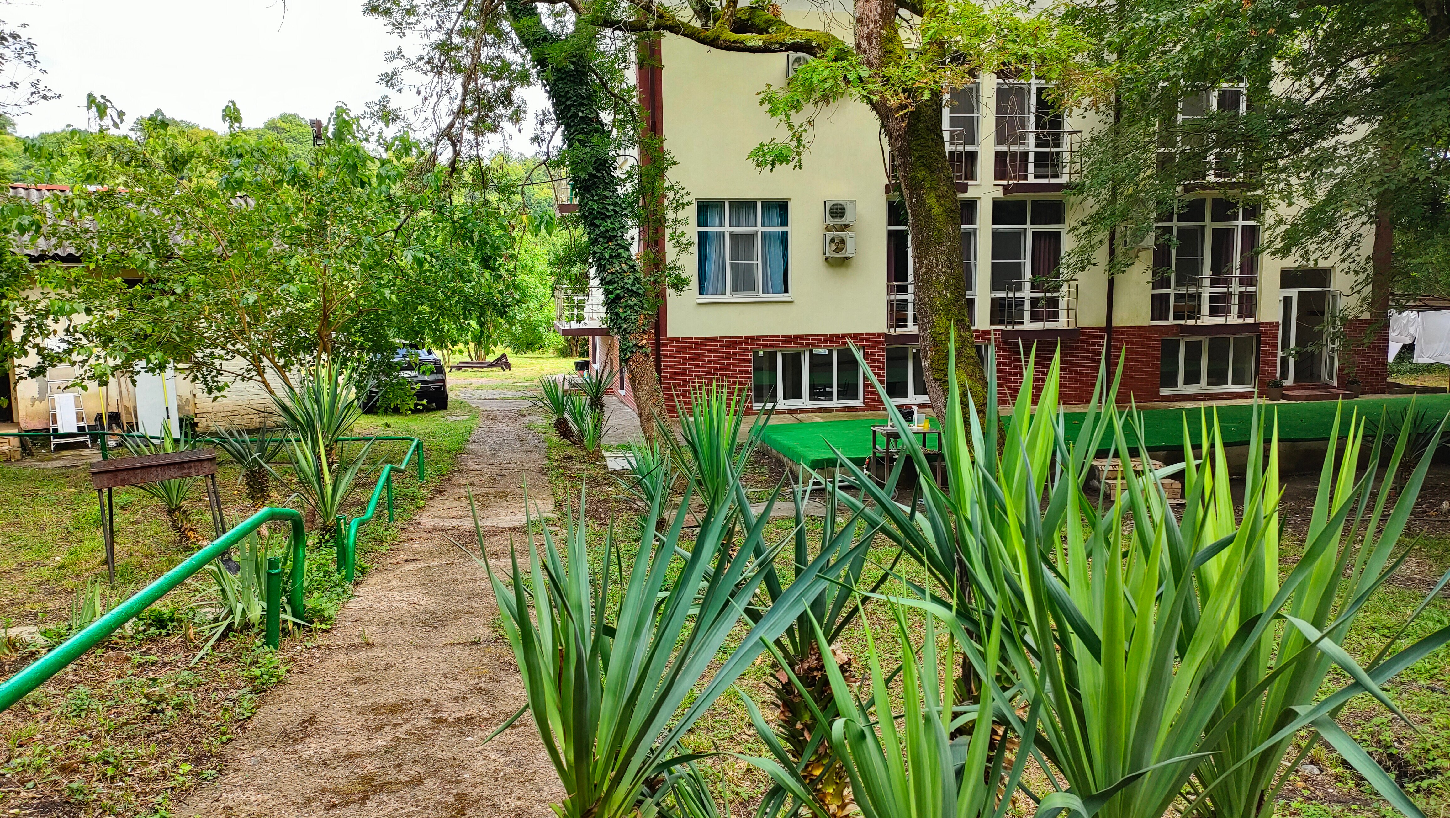 Фото Росинка