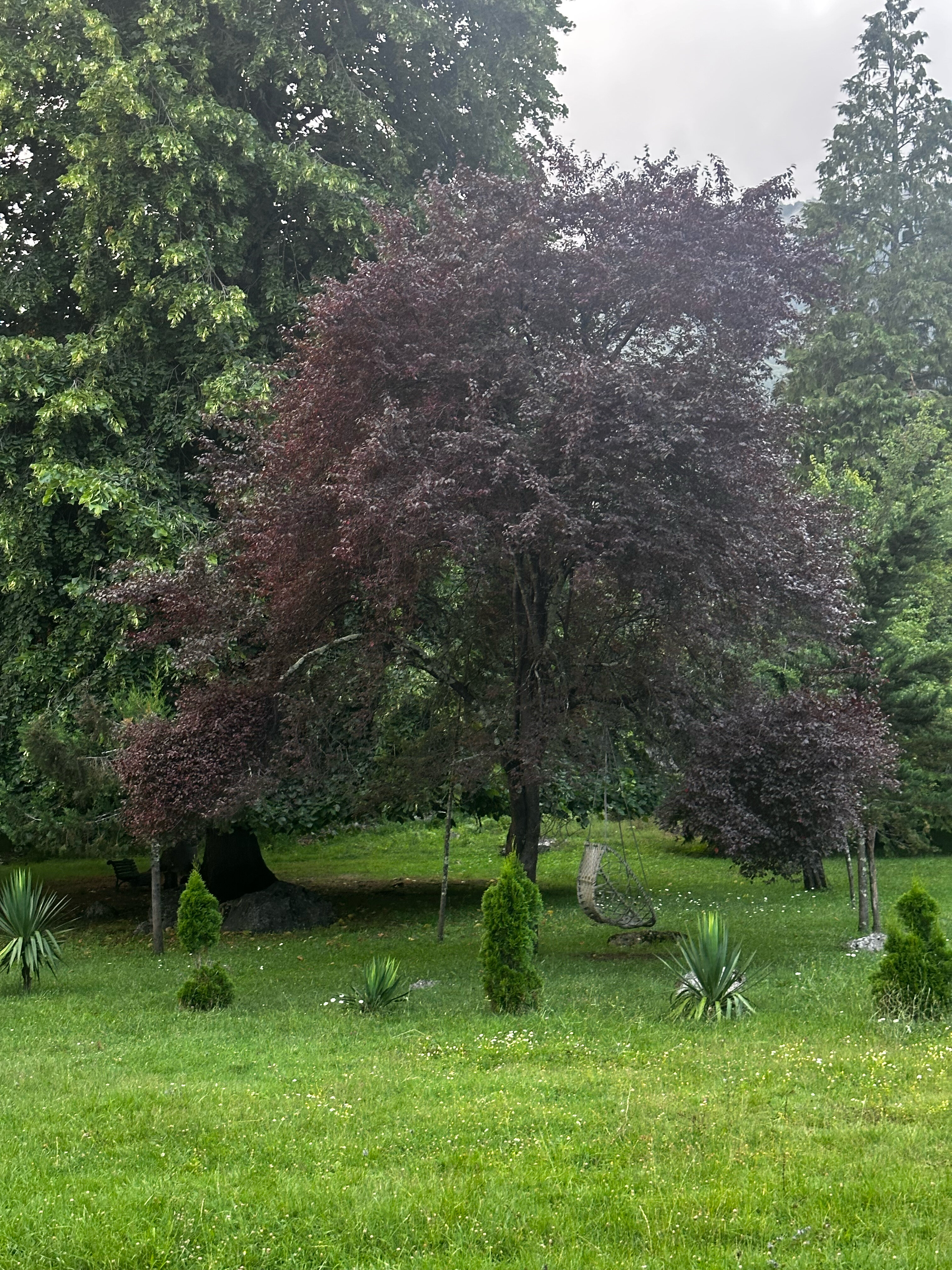 Фото Имение Чиковани