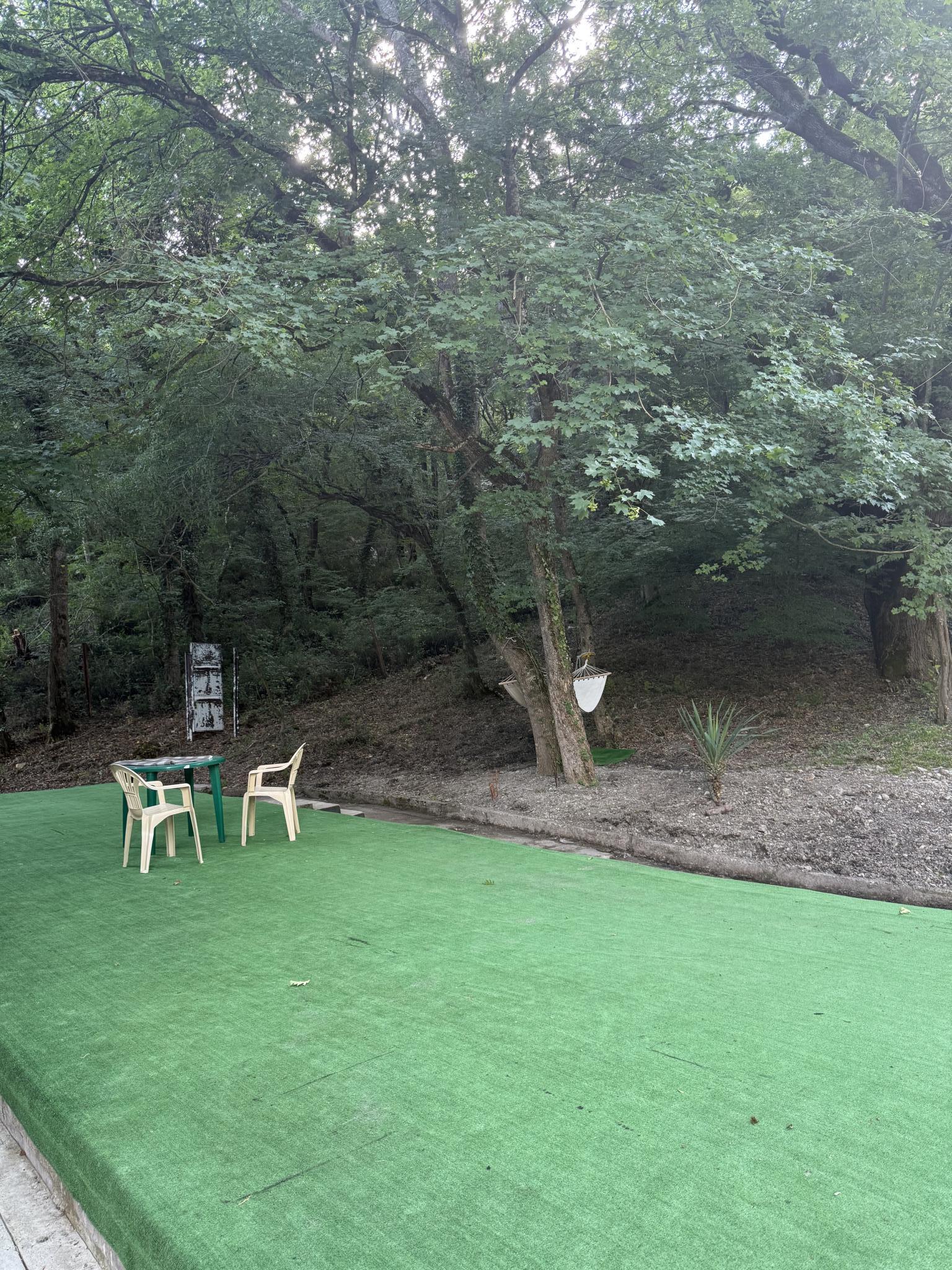 Фото Росинка